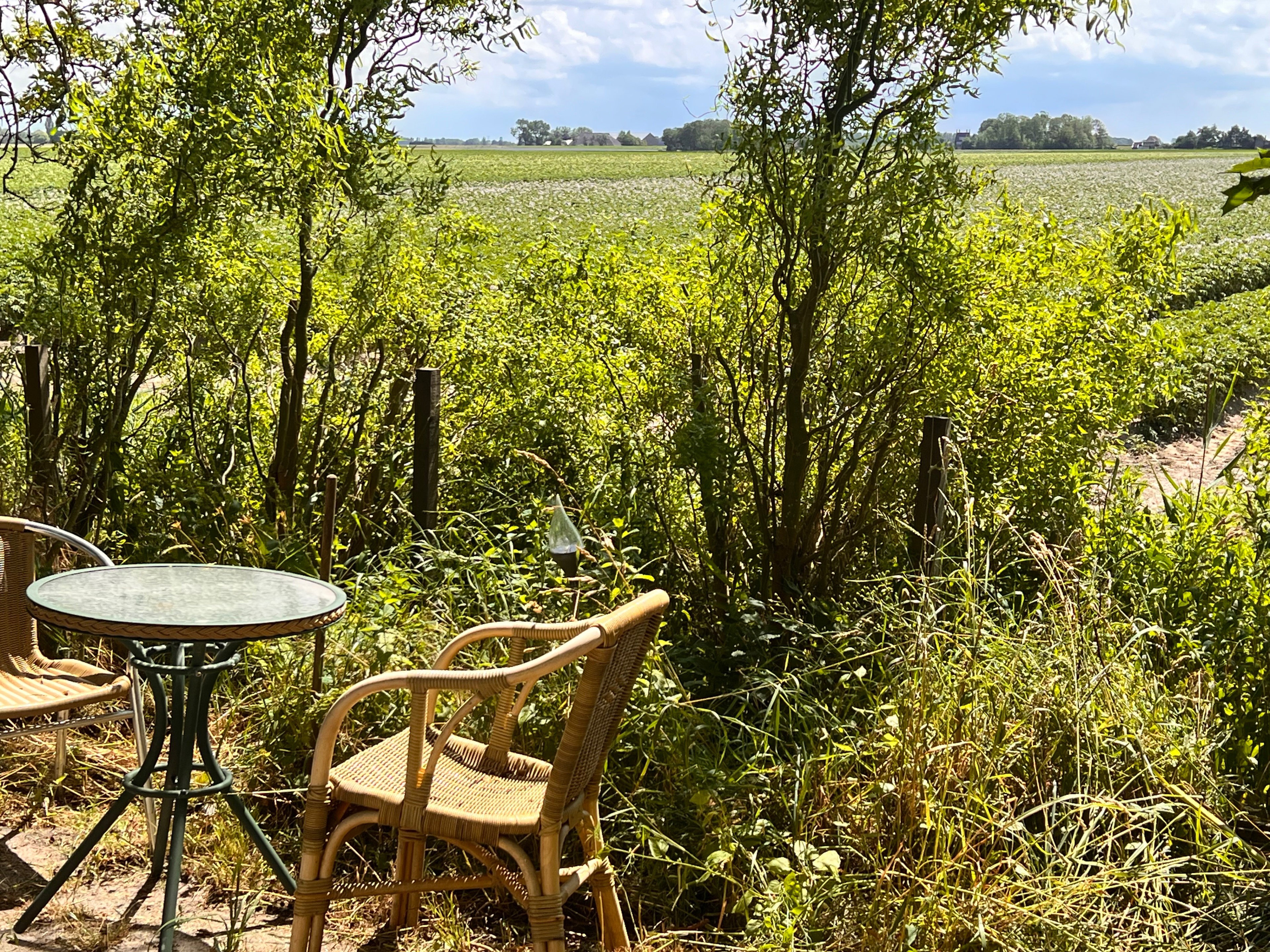 Nature house in St Annaparochie