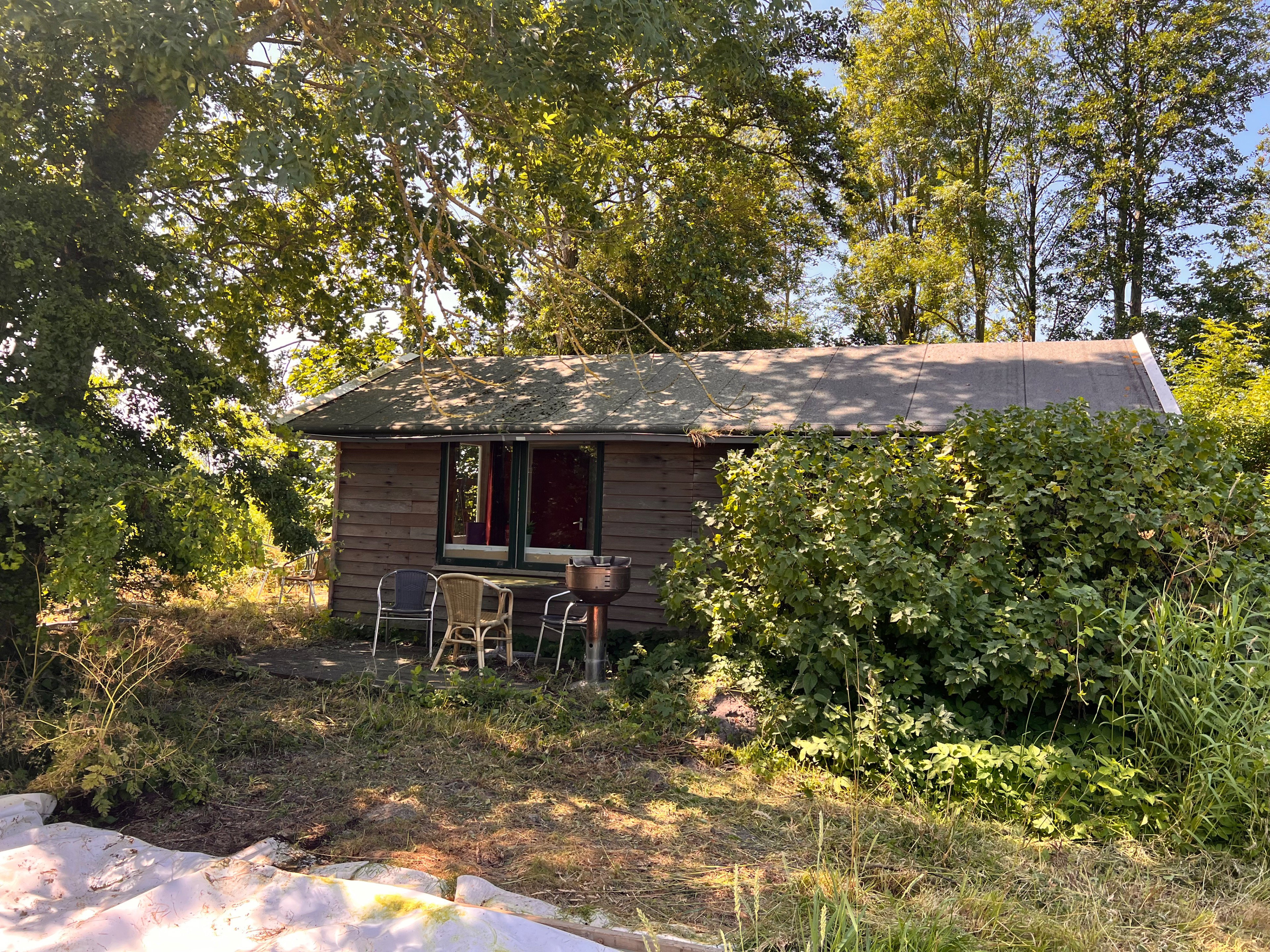 - image: 11