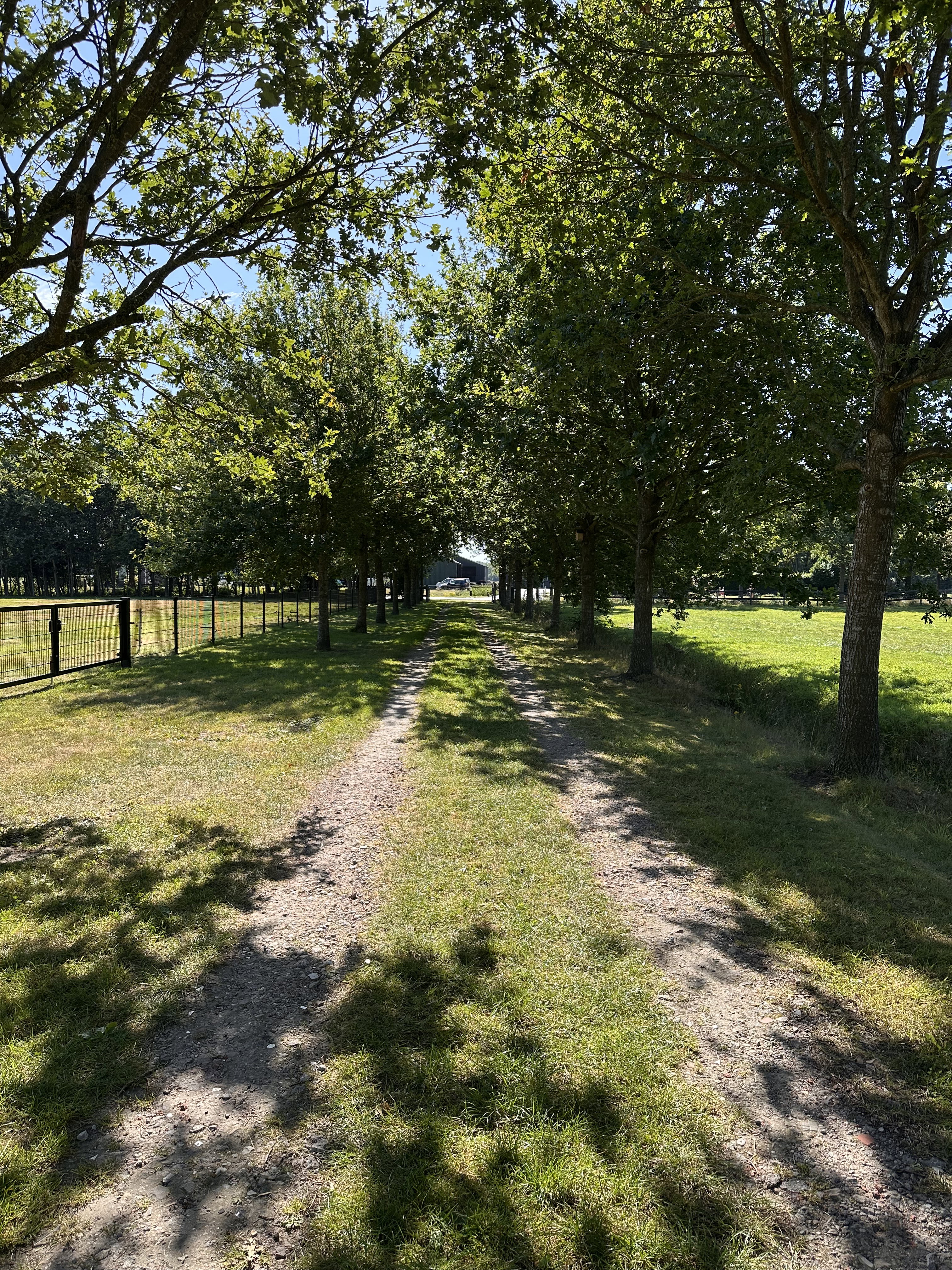 Naturhäuschen in Wijnjewoude