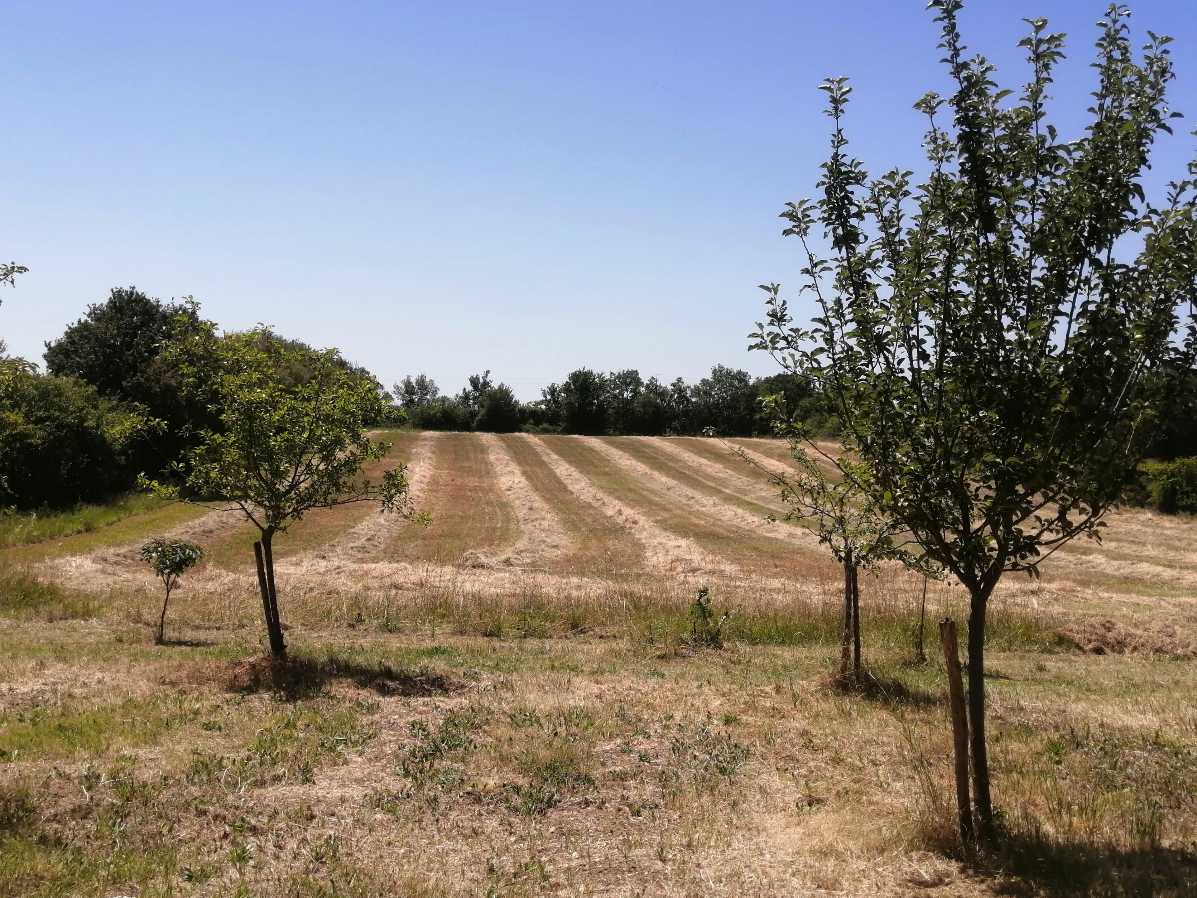 Maison nature à Trespoux-rassiels