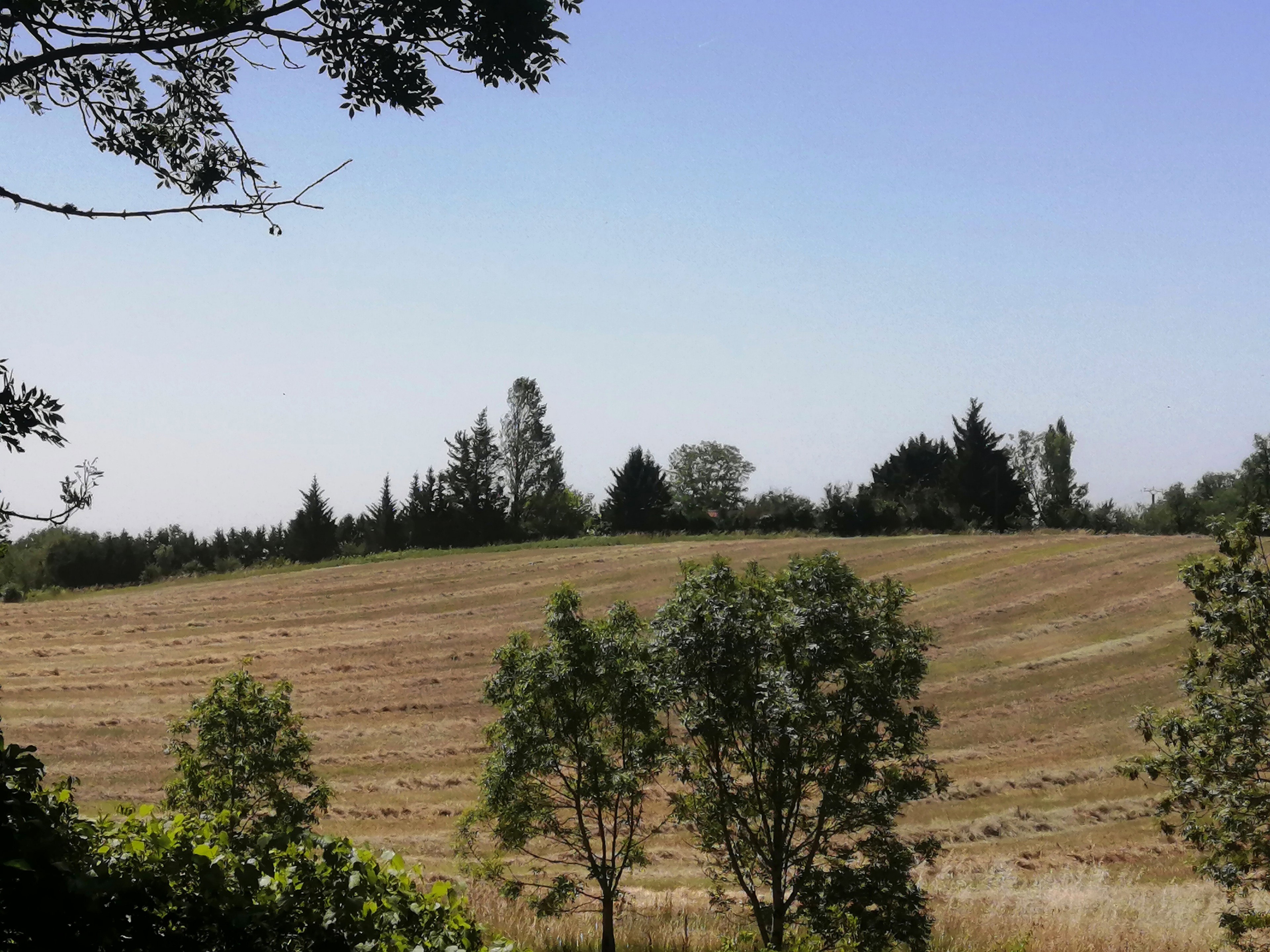 Maison nature à Trespoux-rassiels