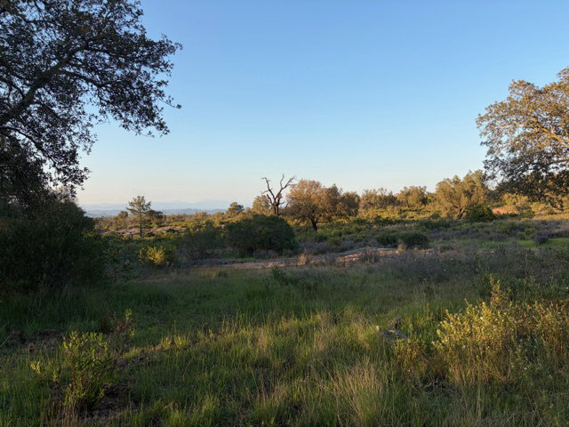 - image: 12