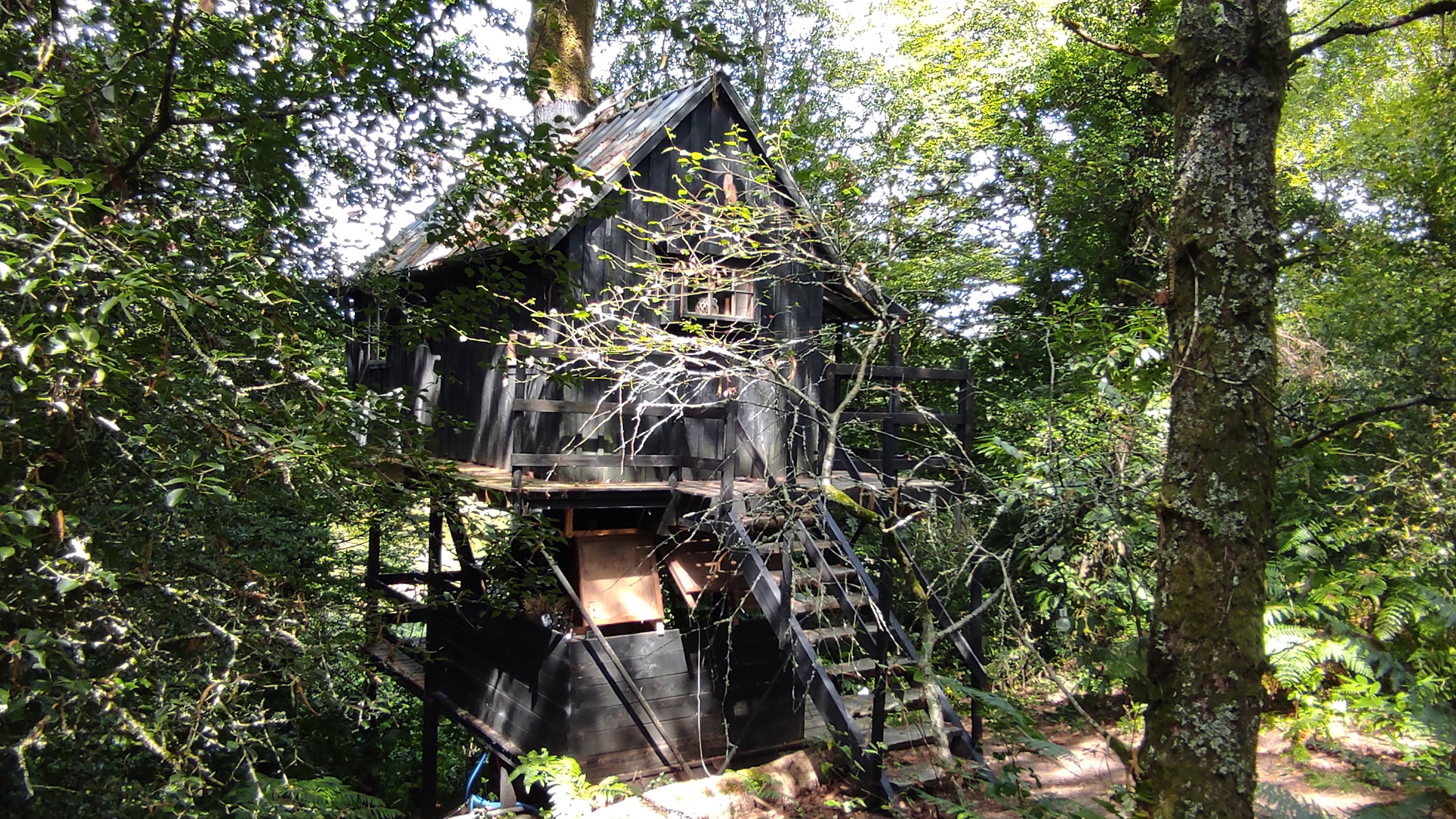 Natuurhuisje in Priziac