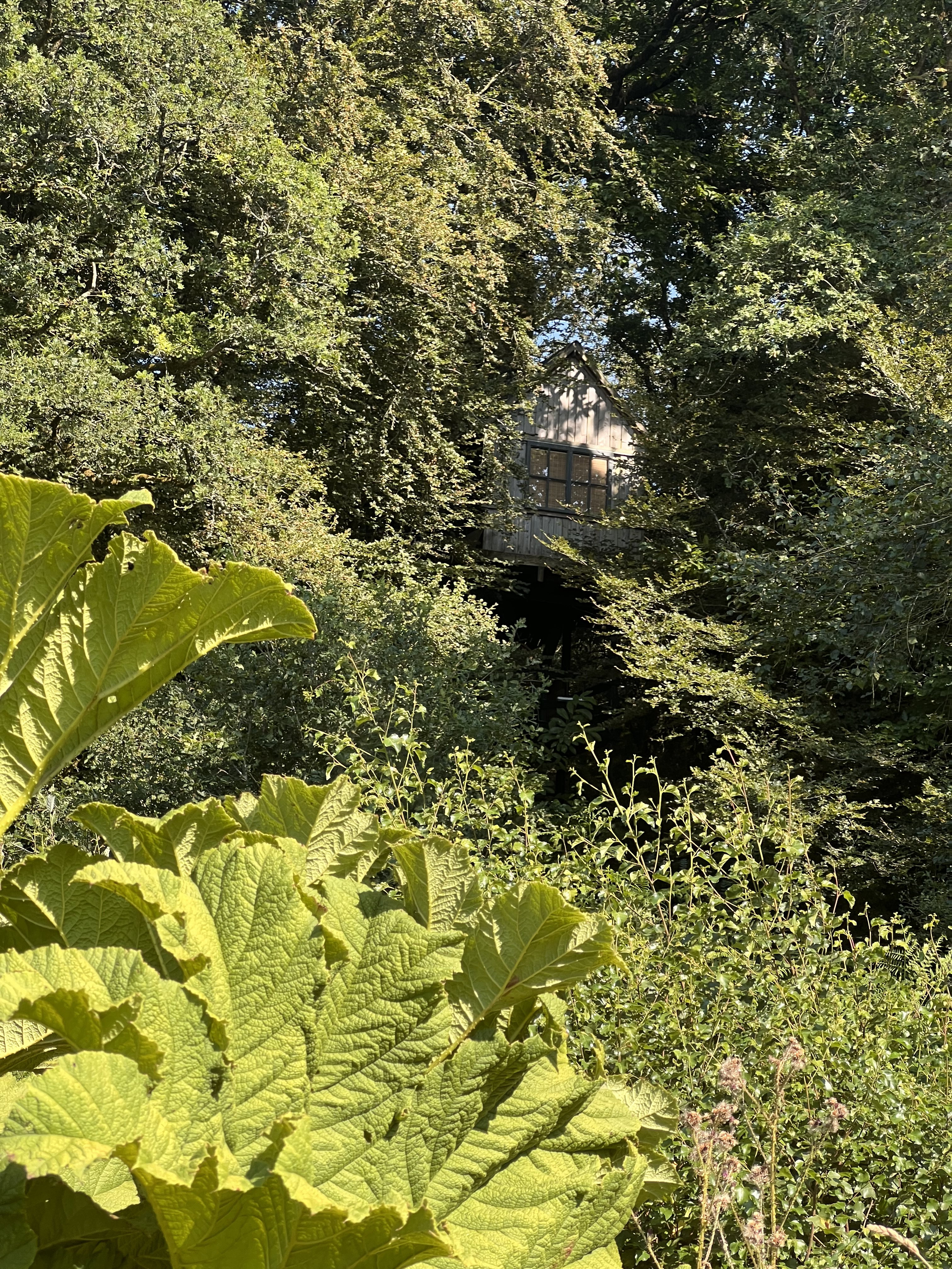 Natuurhuisje in Priziac