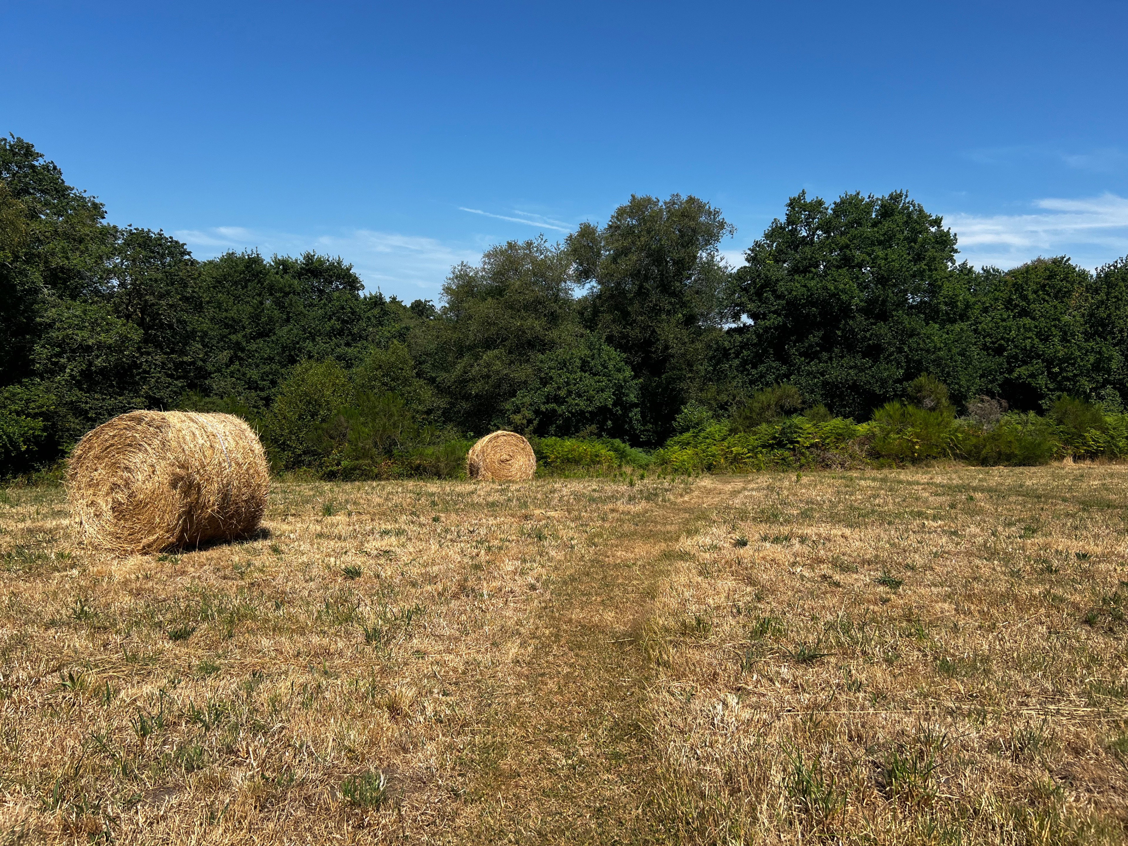 Natuurhuisje in Priziac