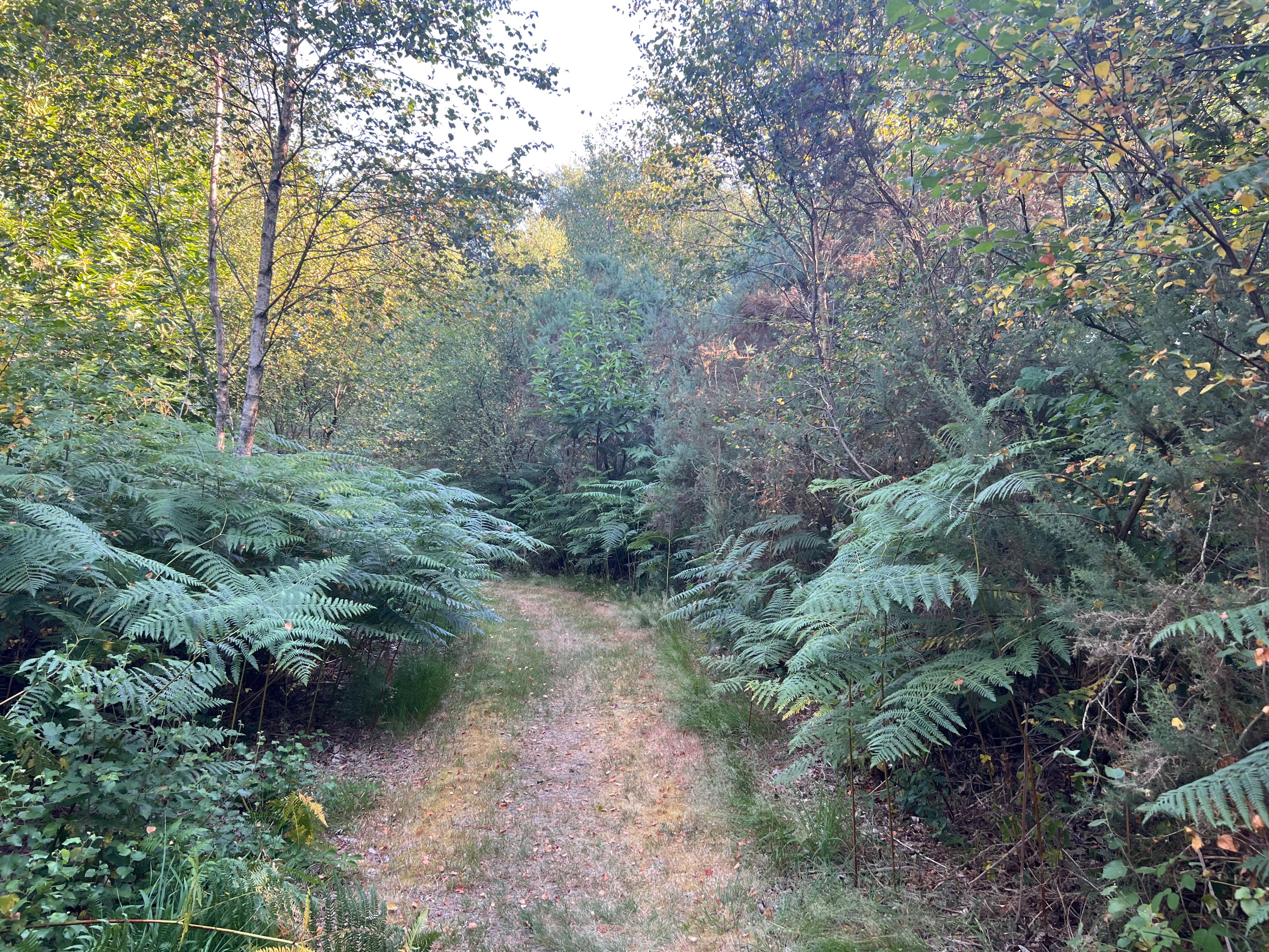 Natuurhuisje in Priziac