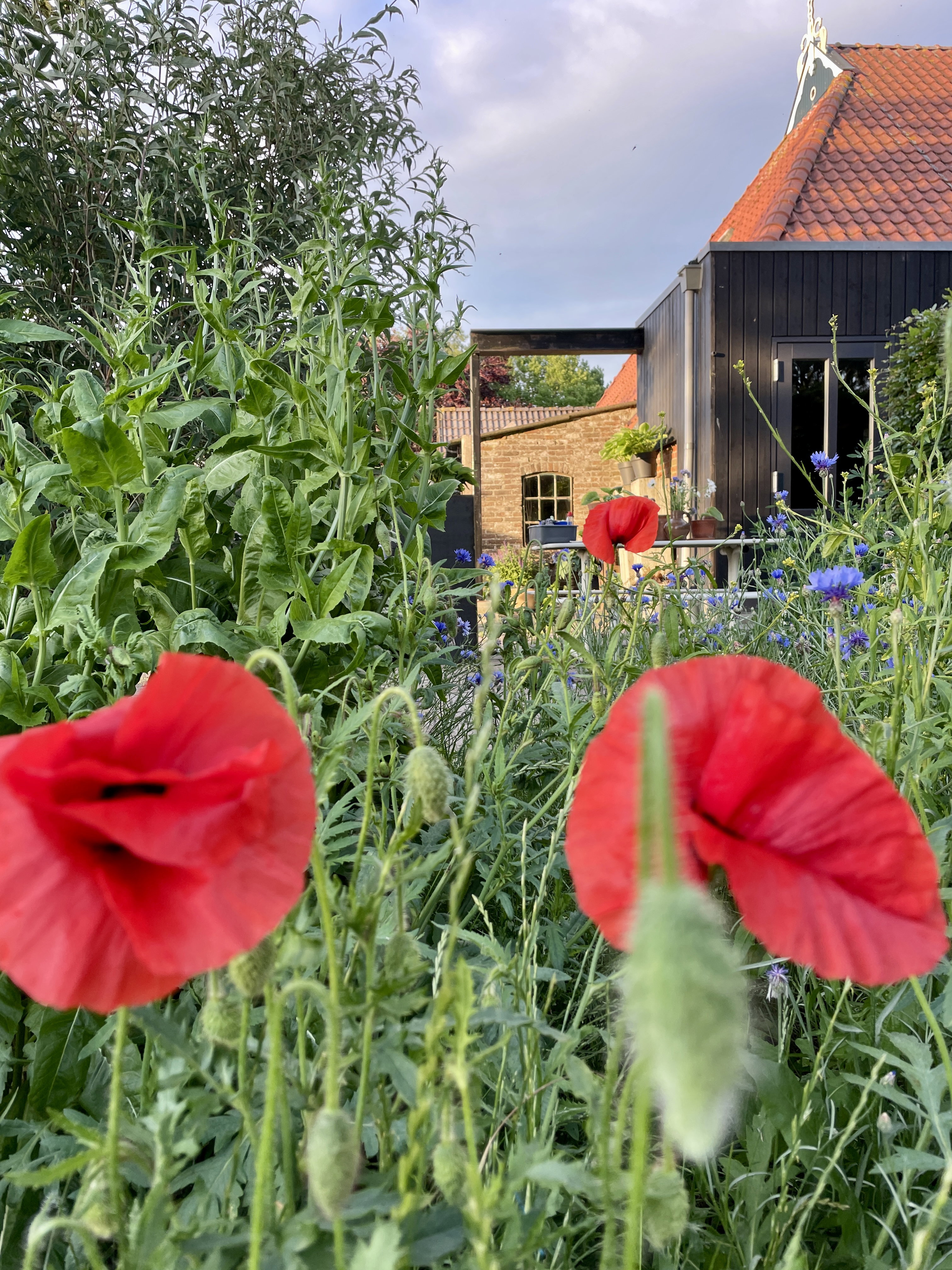 Natuurhuisje in Rotstergaast