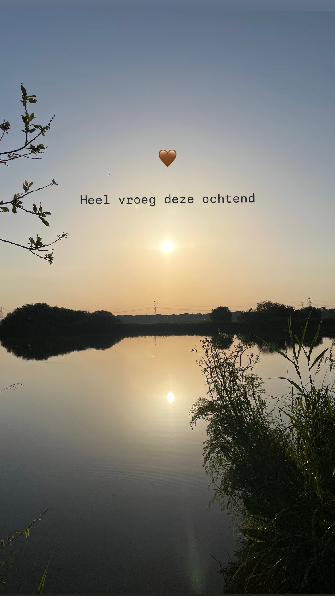 Natuurhuisje in Rotstergaast