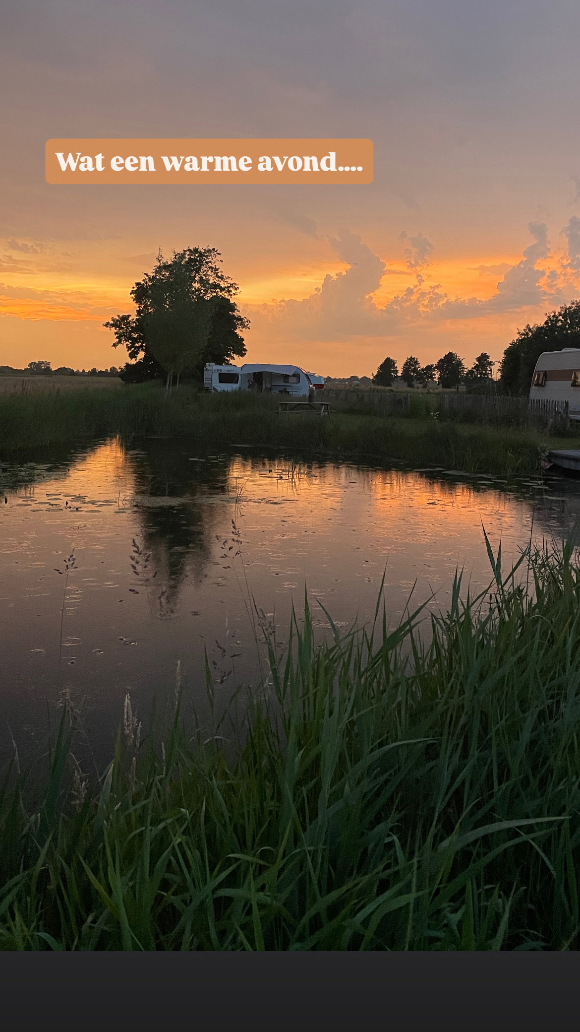 Natuurhuisje in Rotstergaast