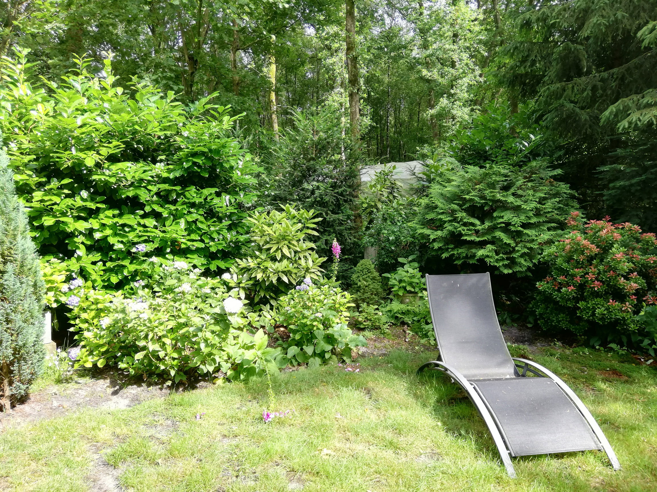 Natuurhuisje in Schoonoord