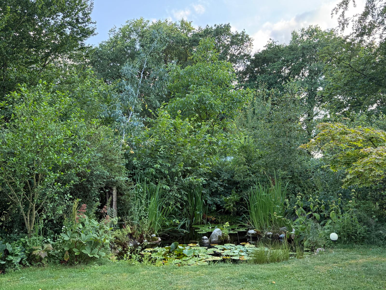 Natuurhuisje in Zandhuizen