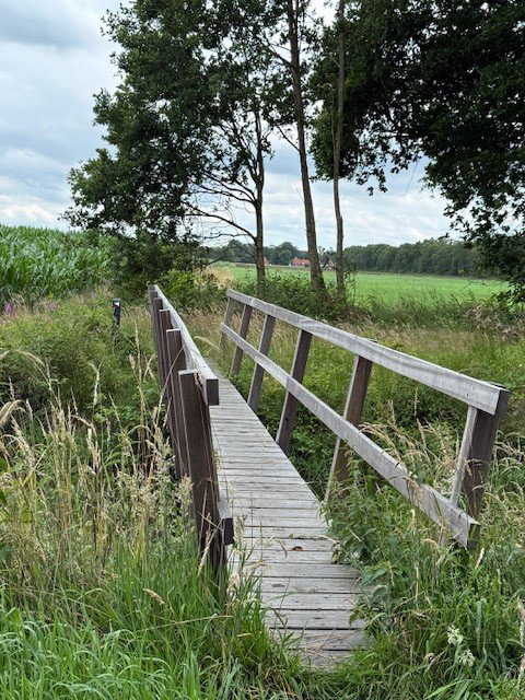 - image: 23