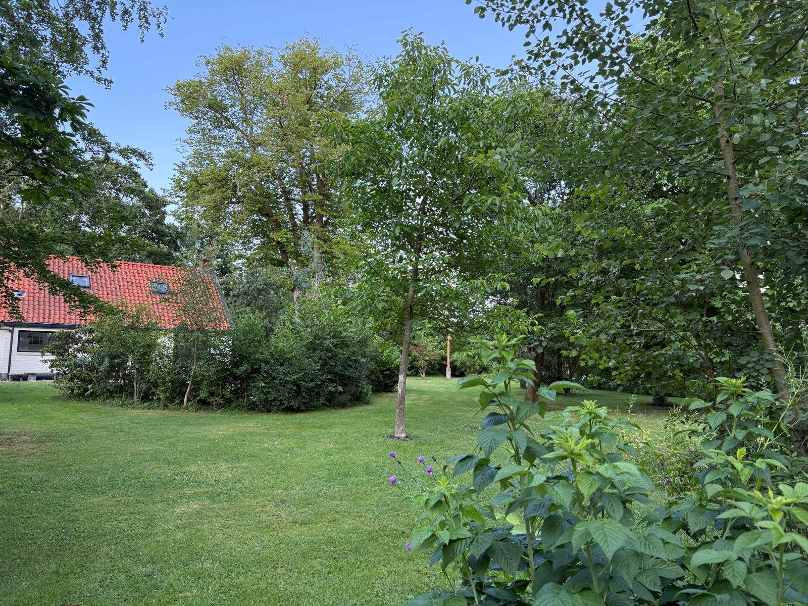Natuurhuisje in Zandhuizen