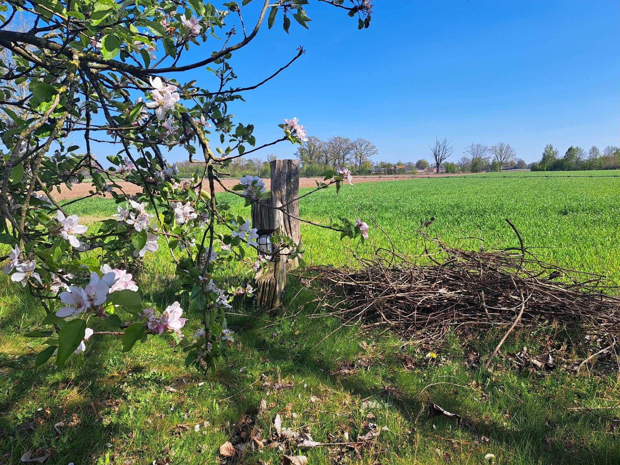 Natuurhuisje in Bornerbroek