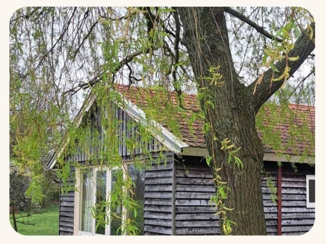 Natuurhuisje in Bornerbroek