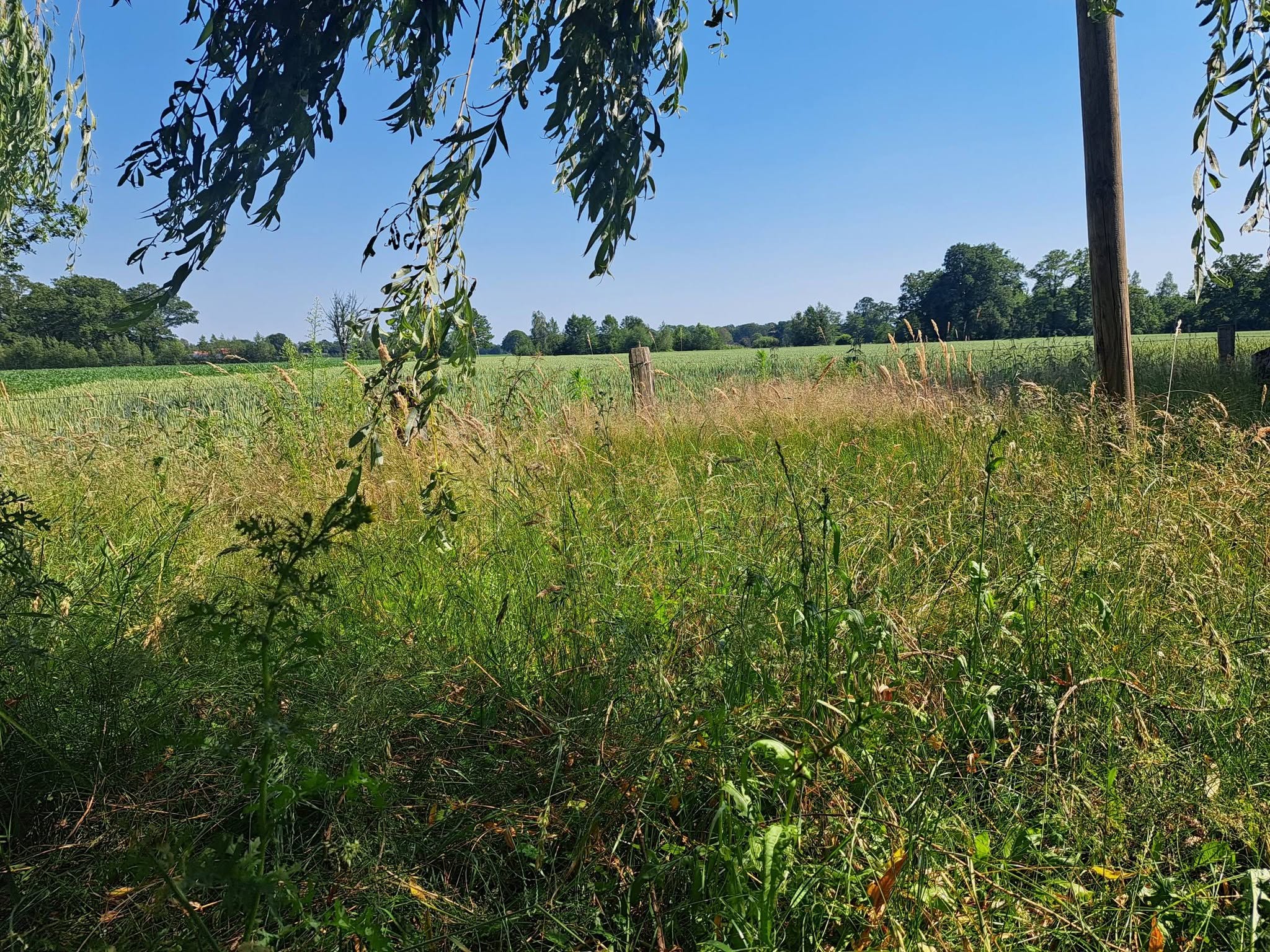Natuurhuisje in Bornerbroek