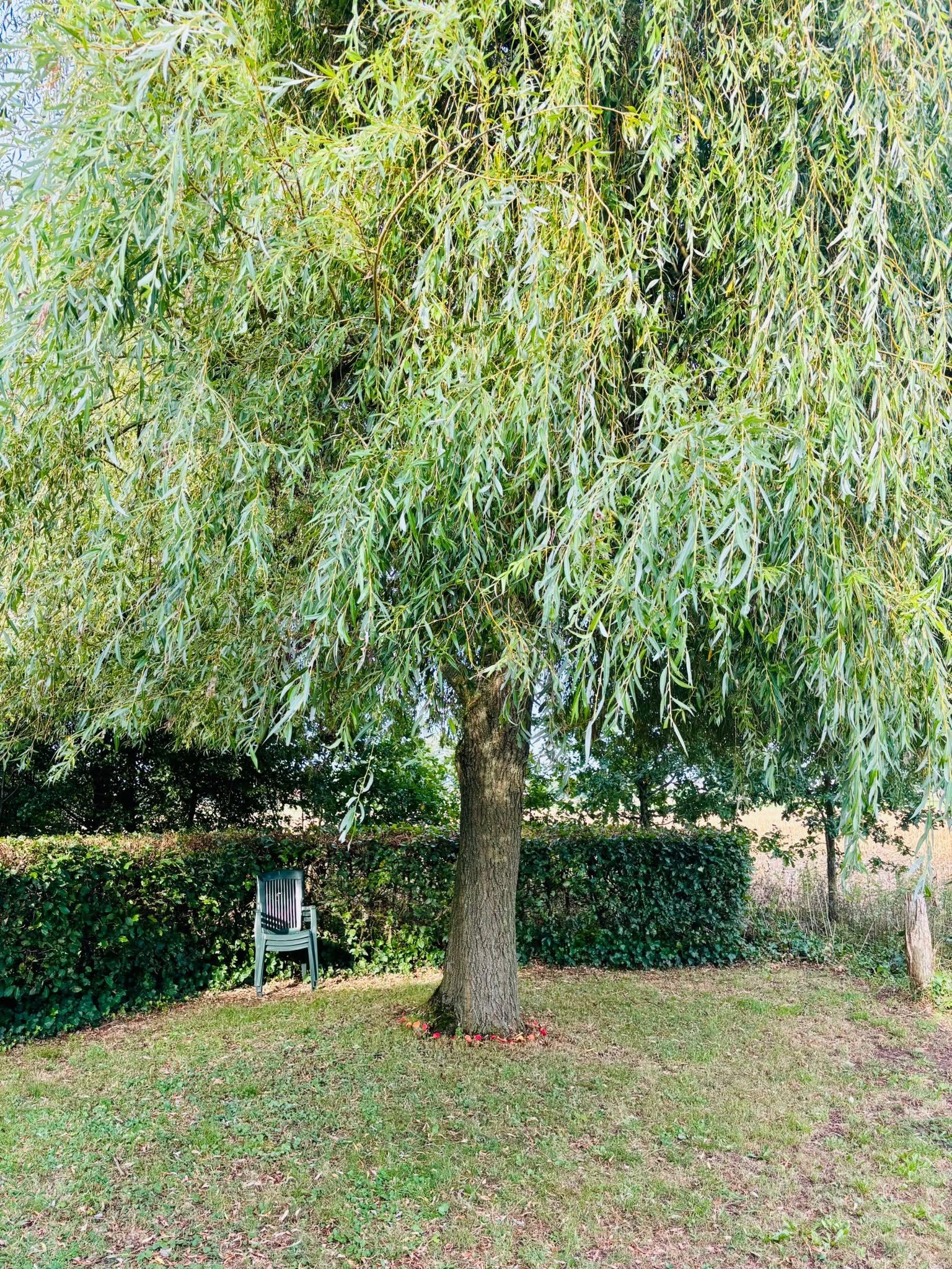 Natuurhuisje in Bornerbroek