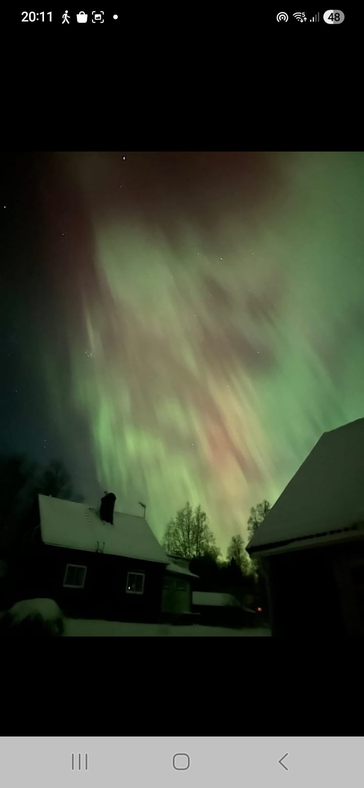 - image: 13