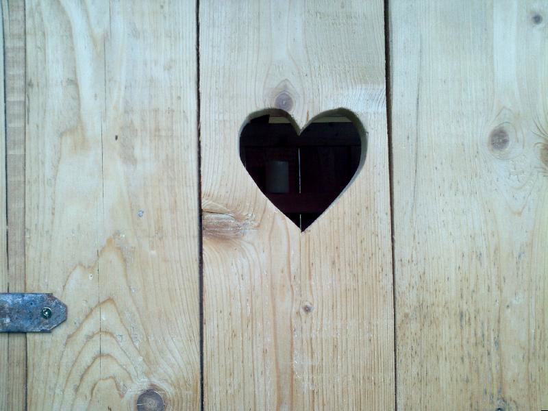 - image: 12