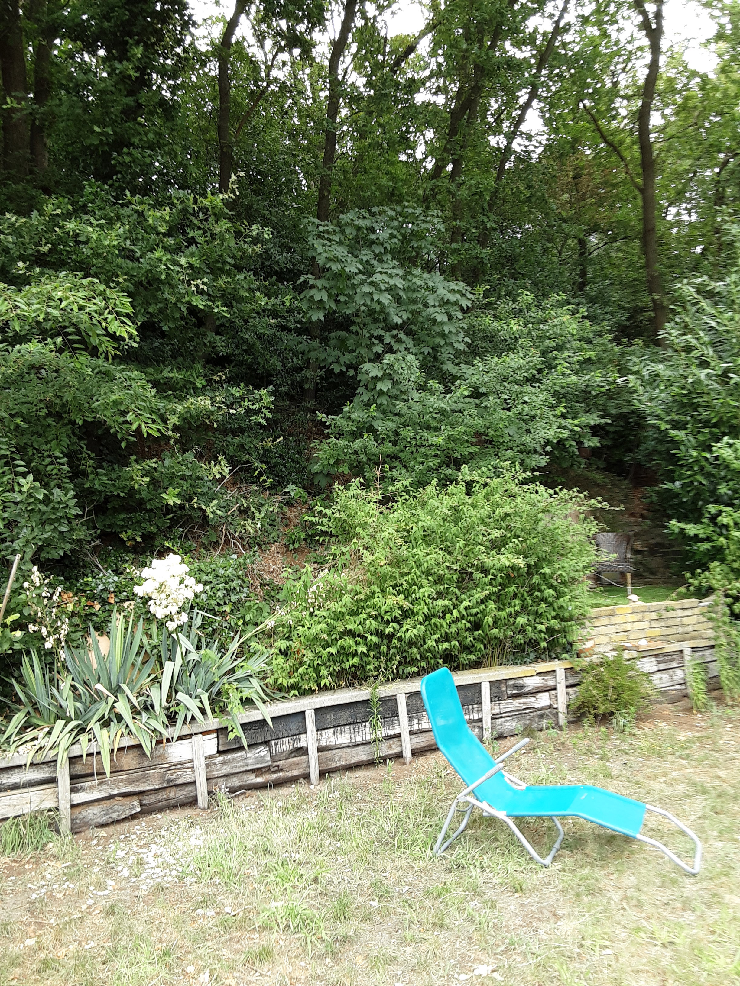 Casa nella natura a Uden