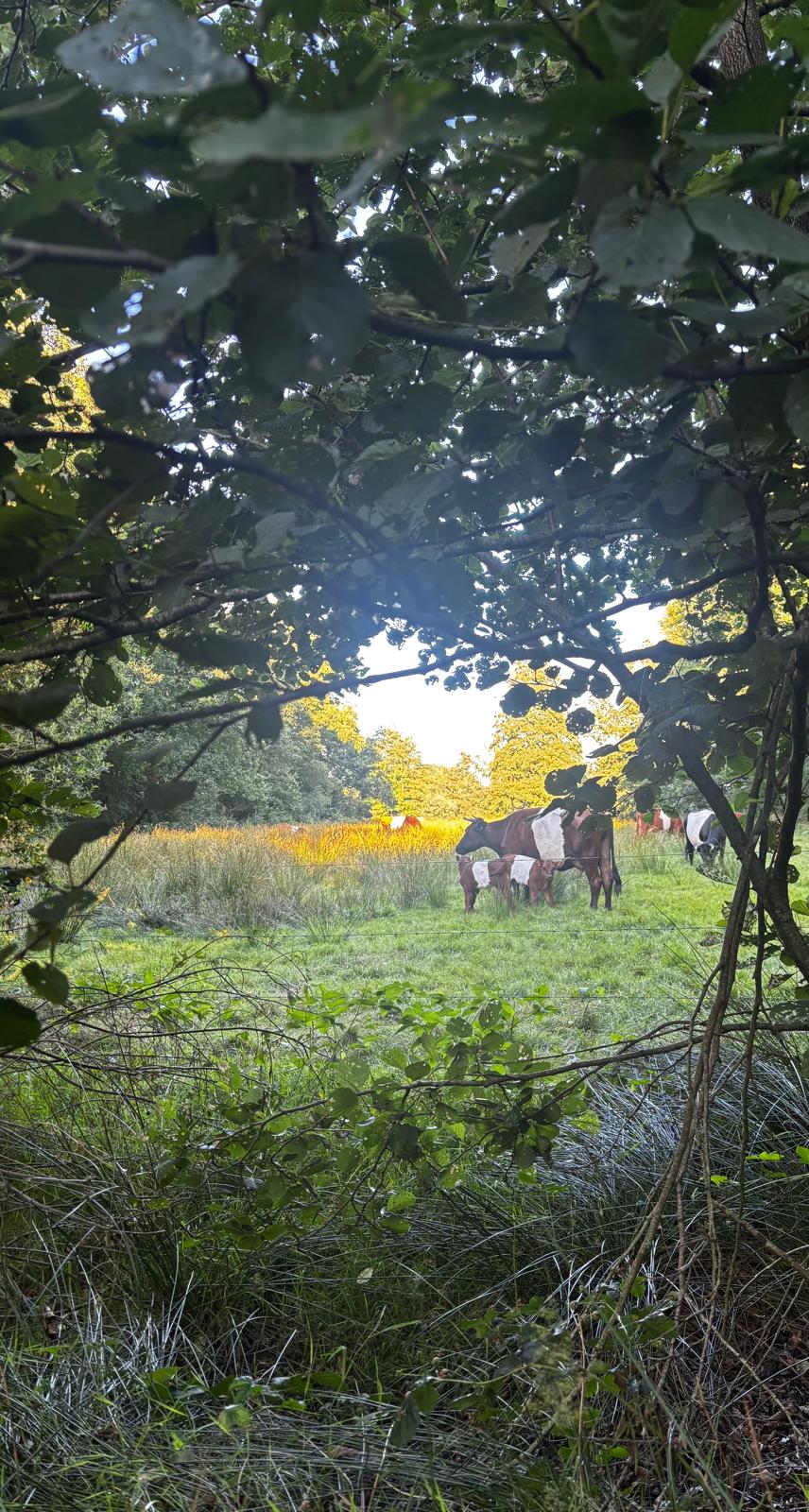 Maison nature à Onstwedde