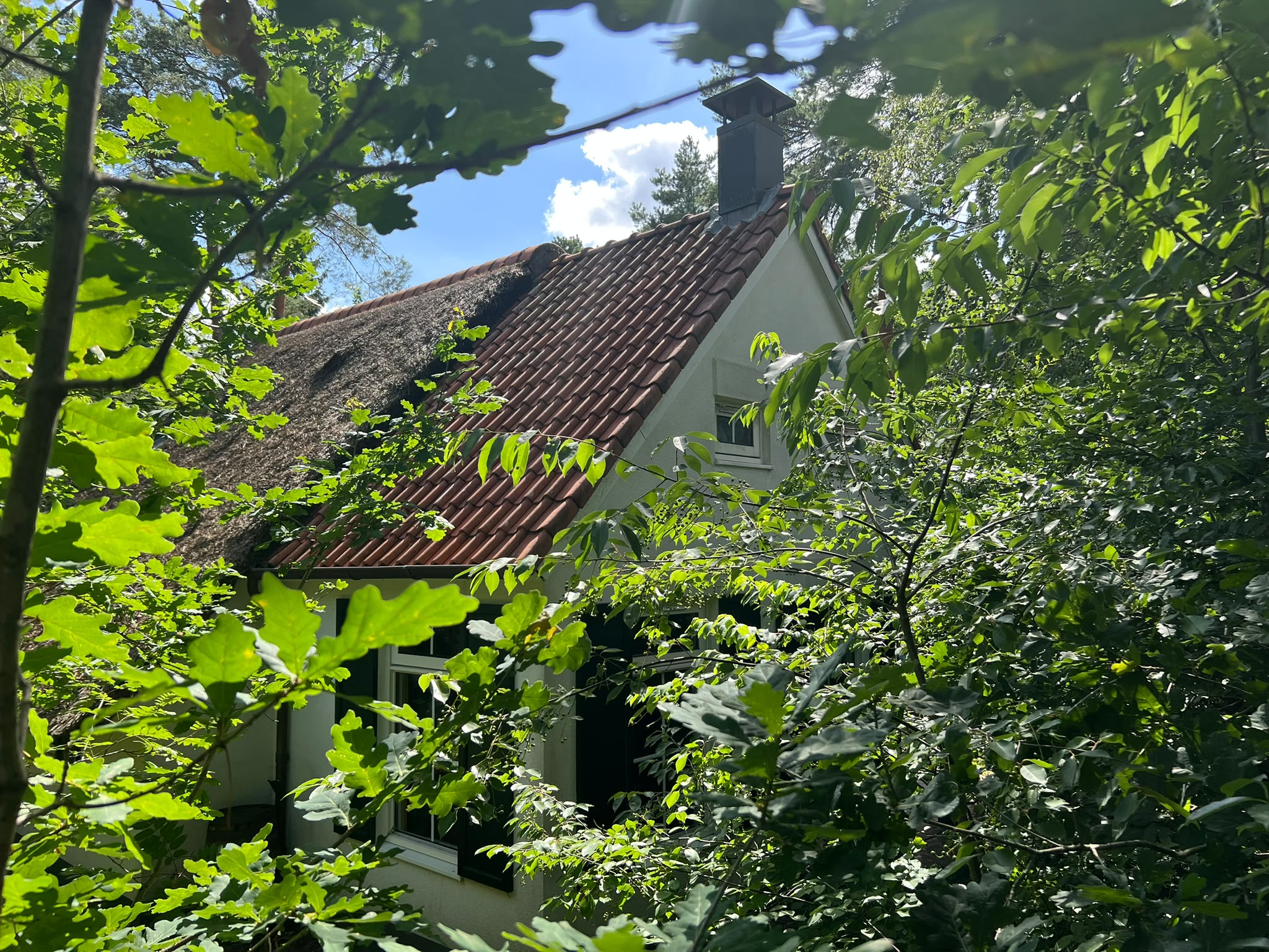 Natuurhuisje in IJhorst