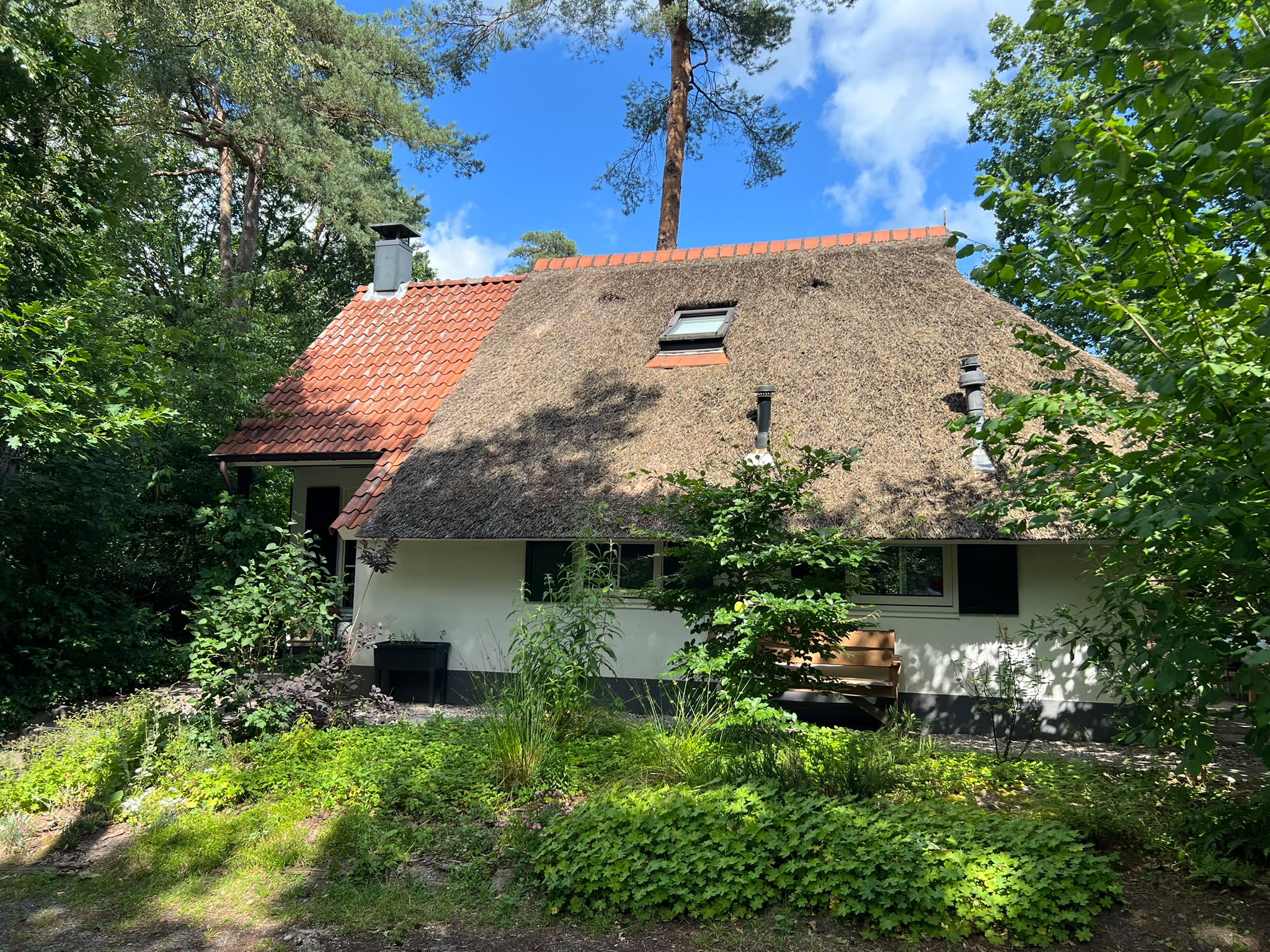 Natuurhuisje in IJhorst