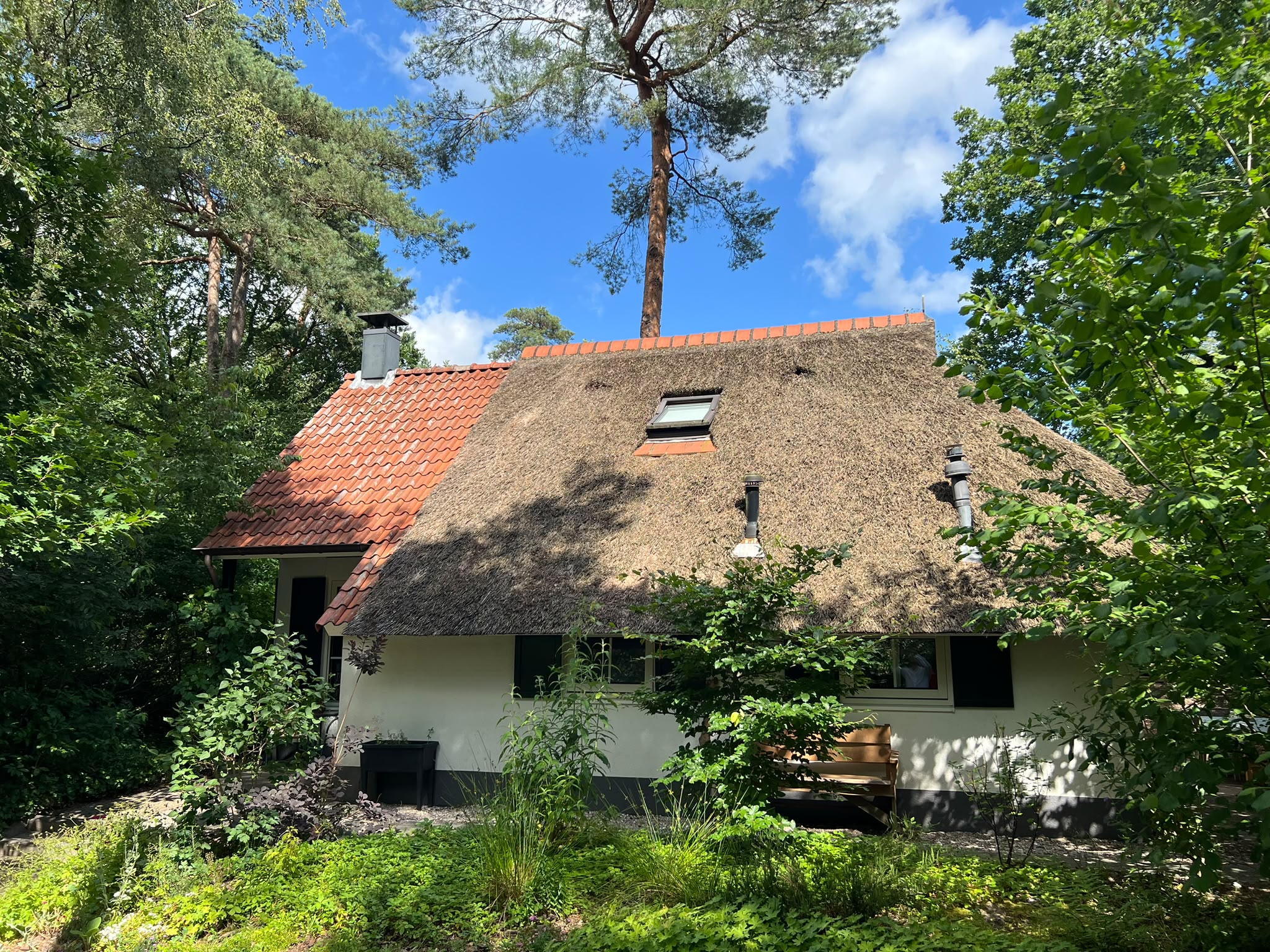 Natuurhuisje in IJhorst