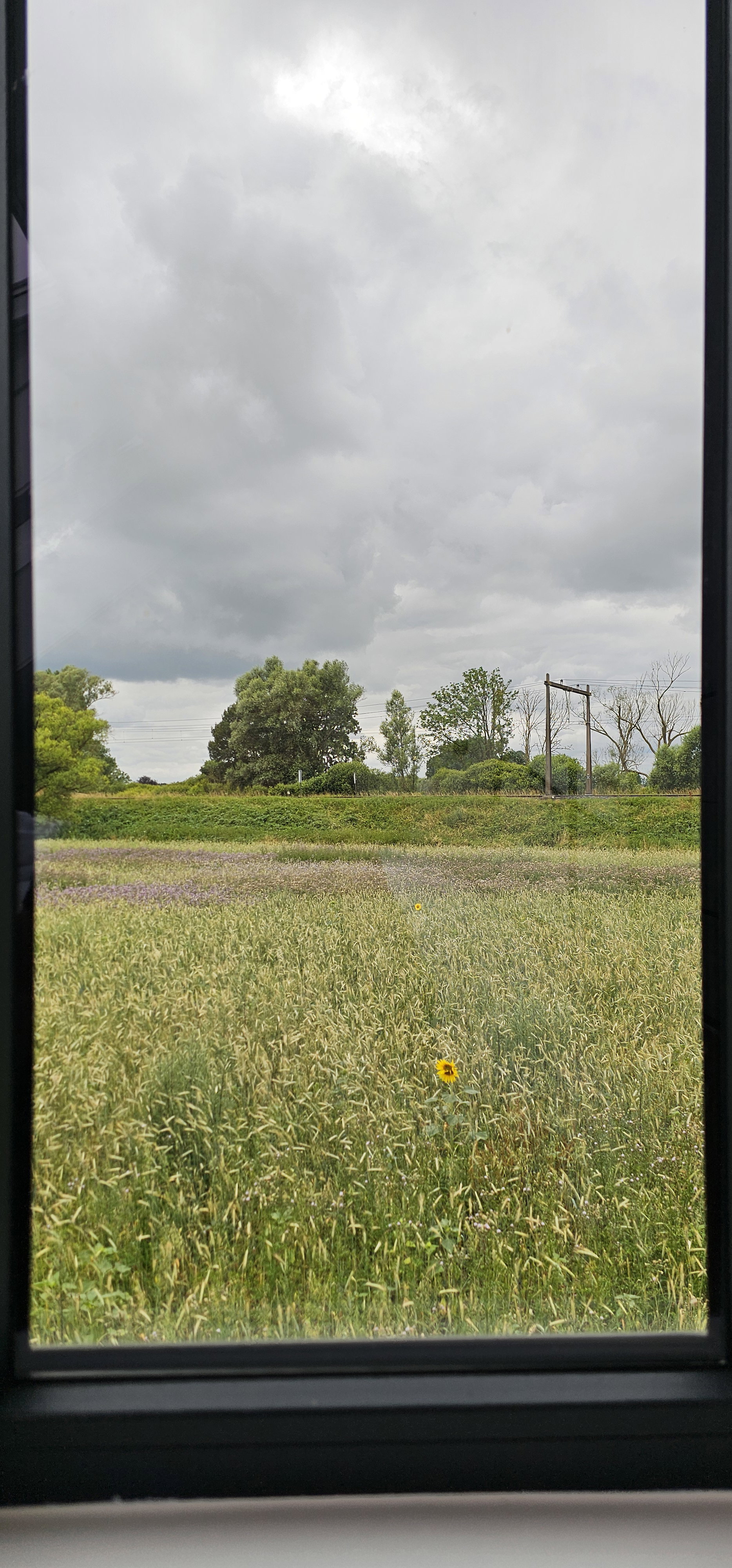- image: 27