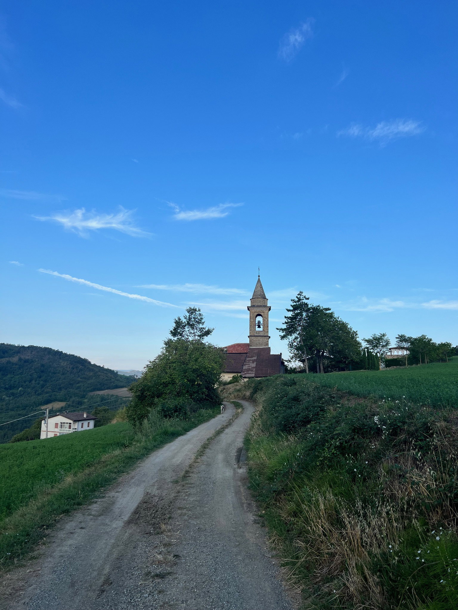 - image: 11