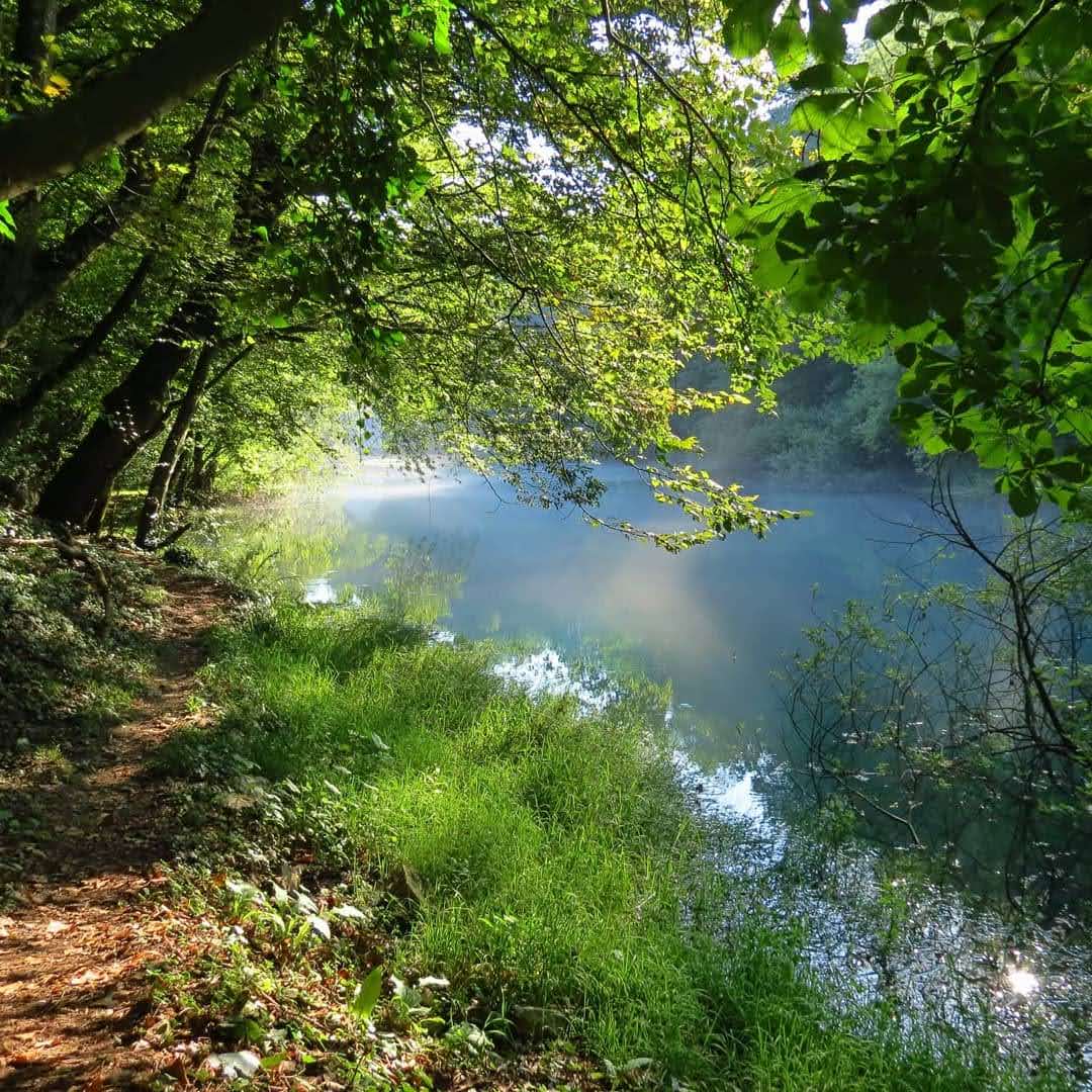 - image: 27
