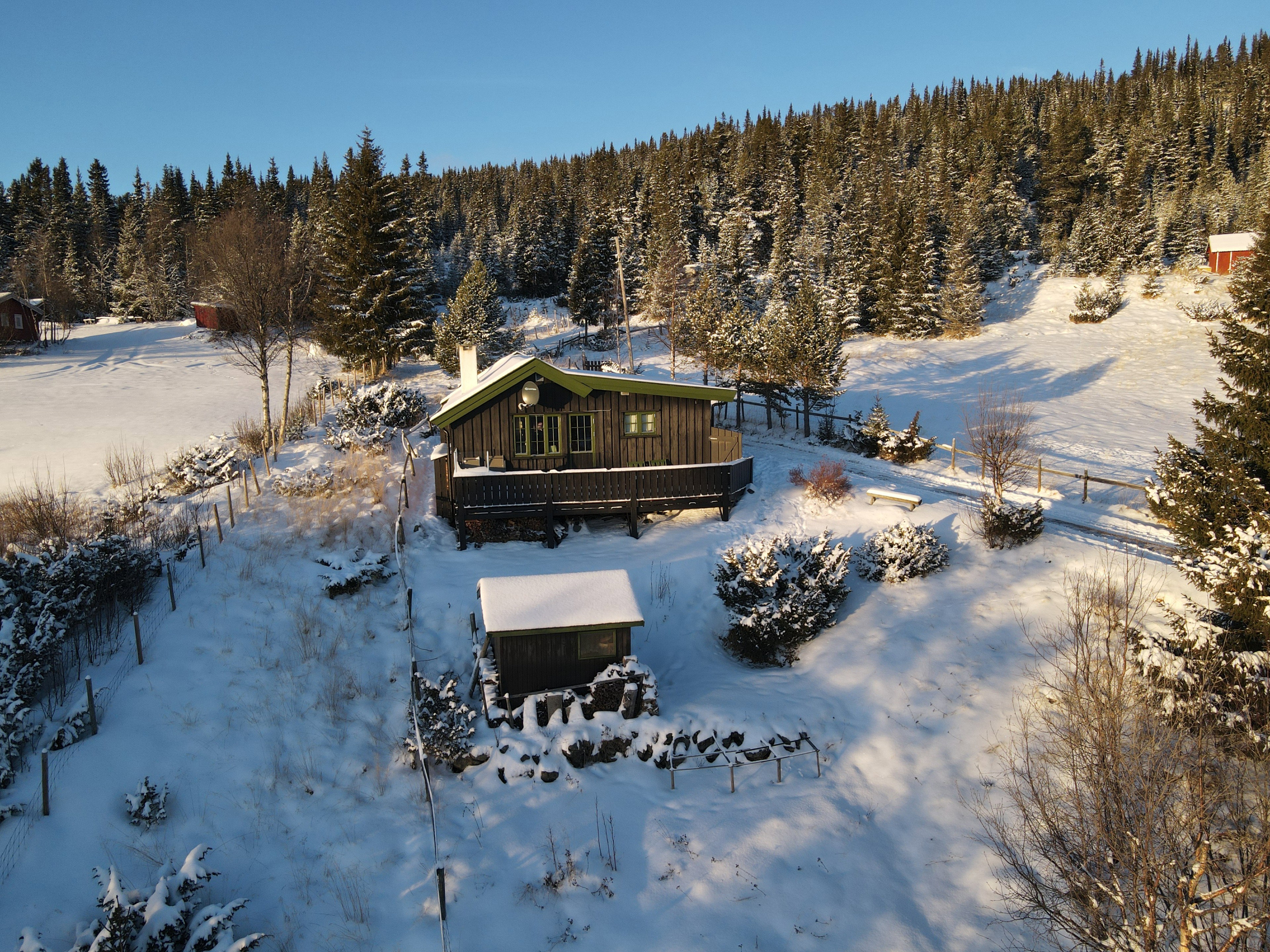 Casa nella natura a Nesbyen