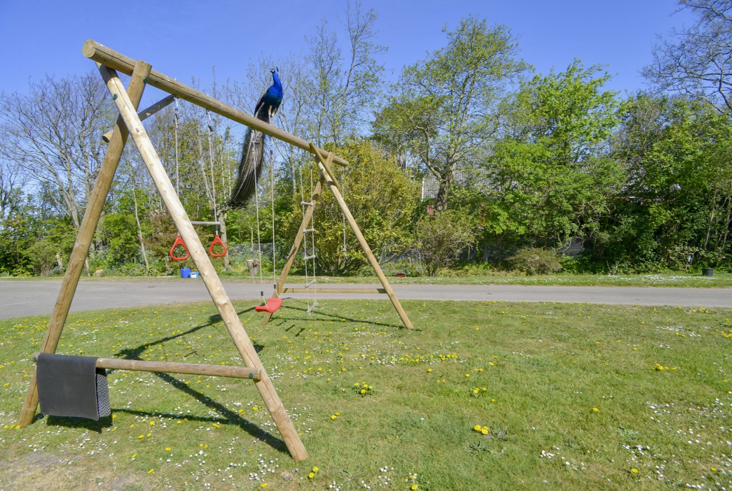 Naturhäuschen in De Cocksdorp