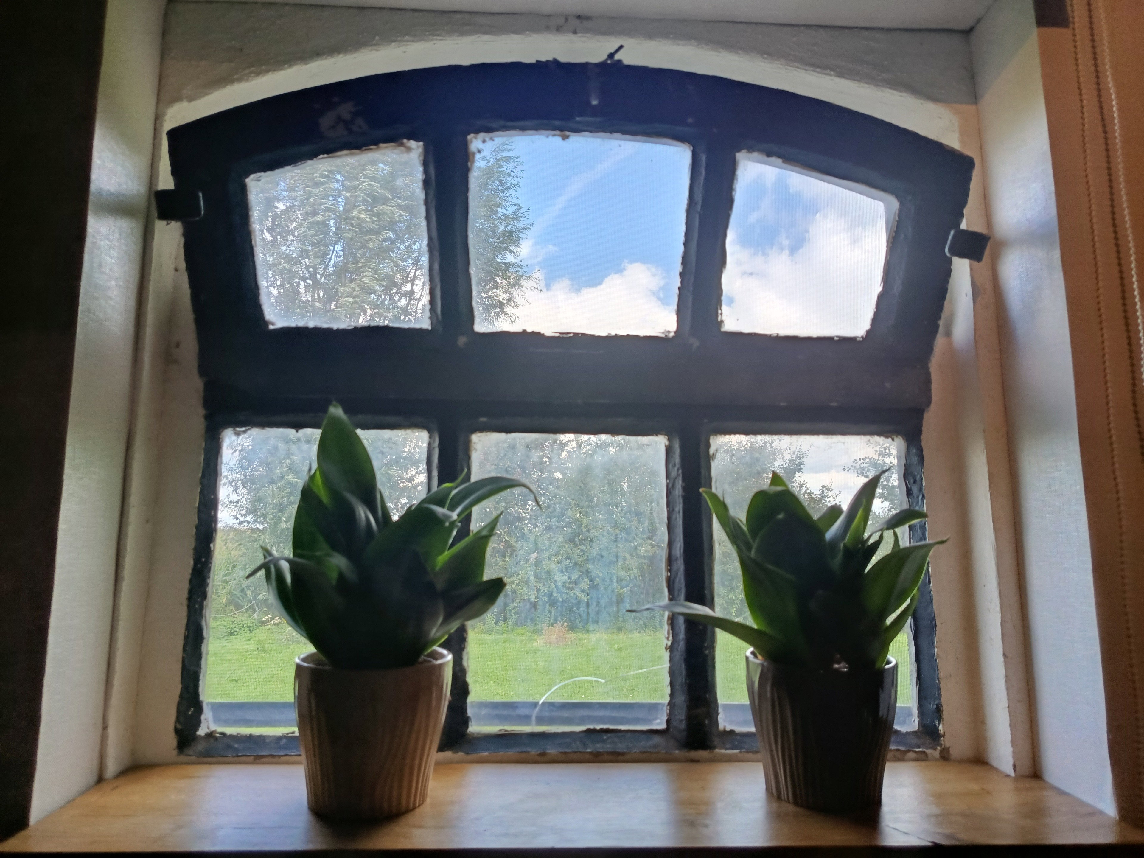 - image: 17