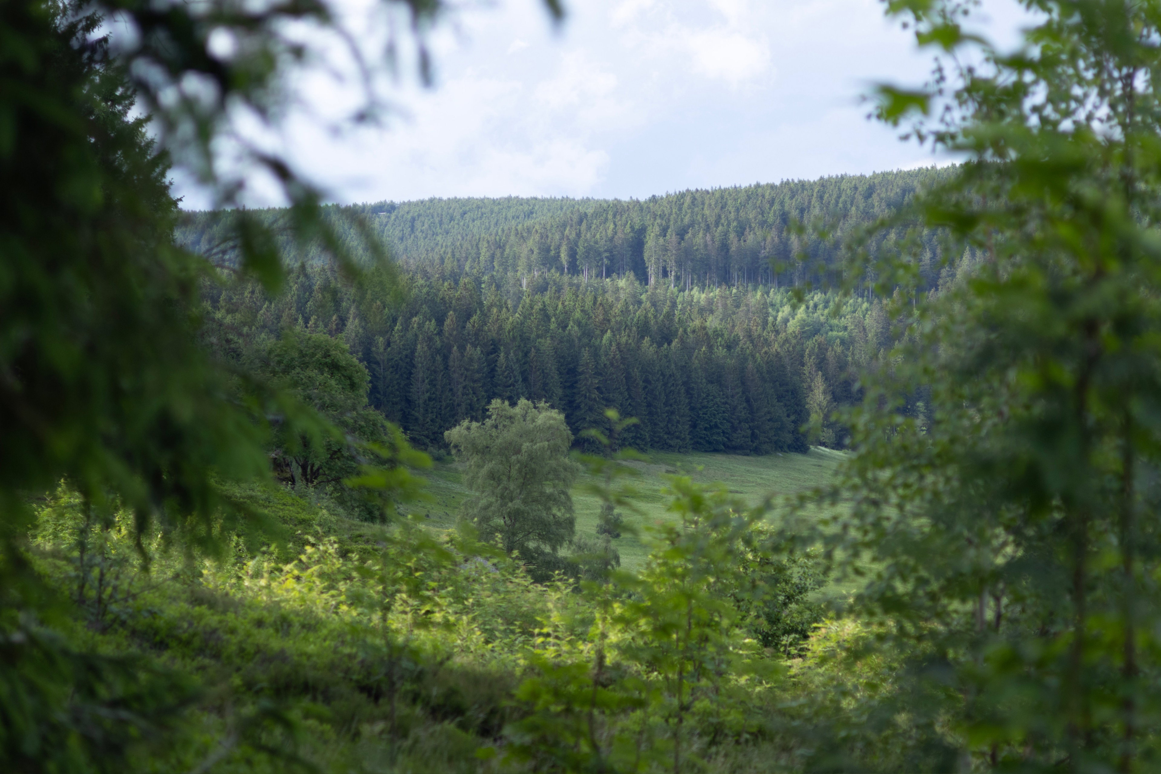 Natuurhuisje in Suhl