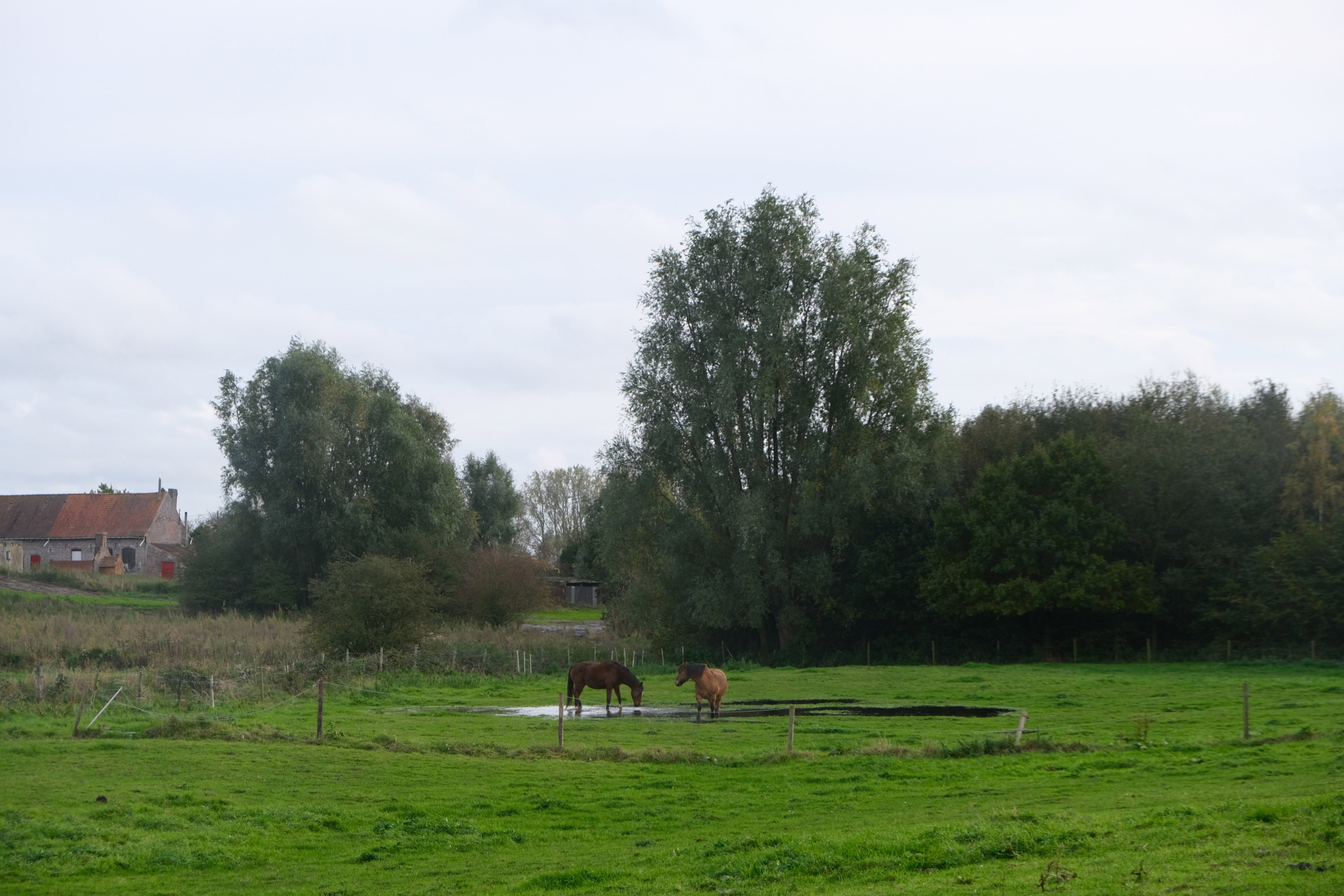 Nature house in Zandvoorde - Zonnebeke