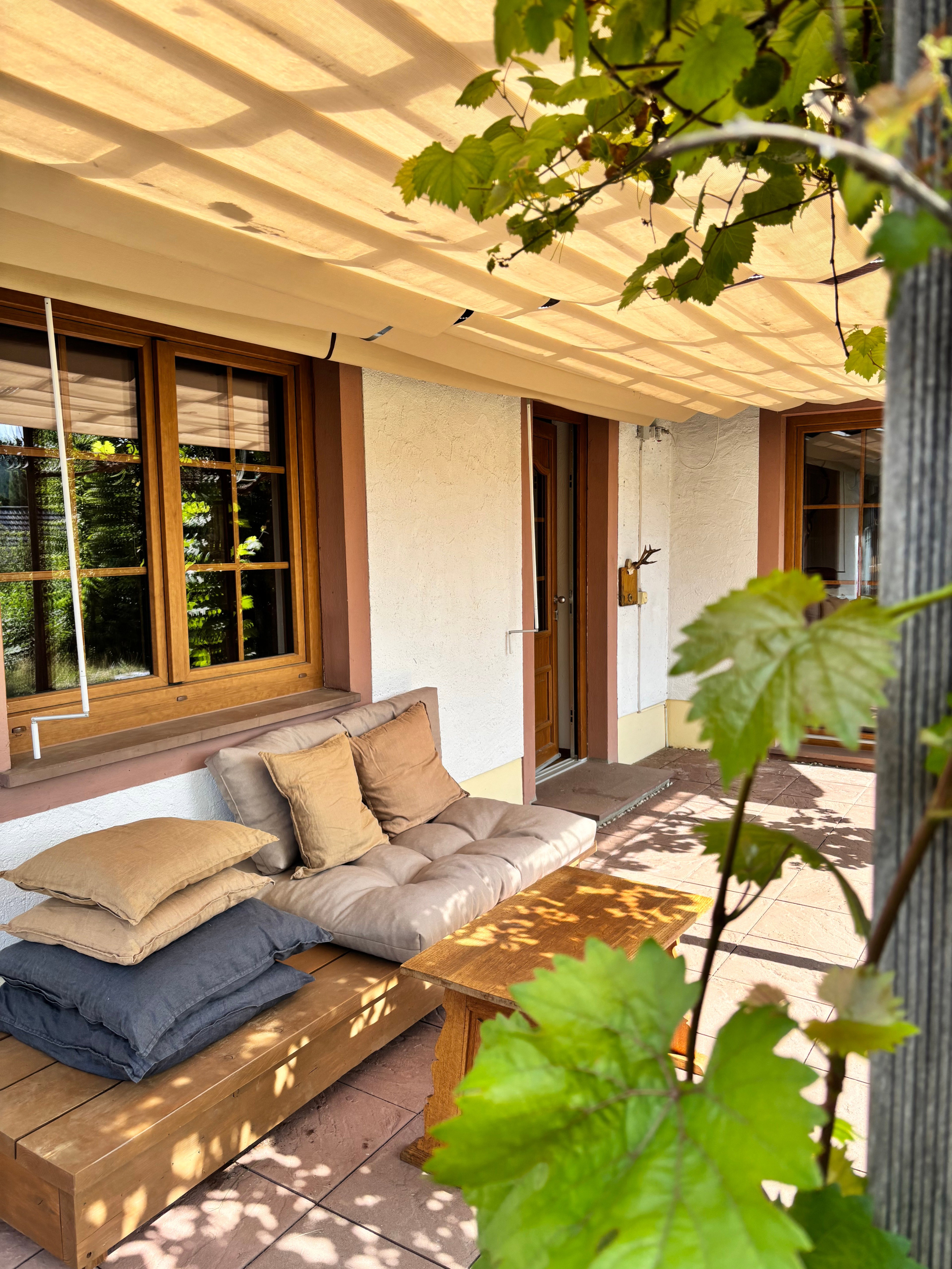 - image: 12