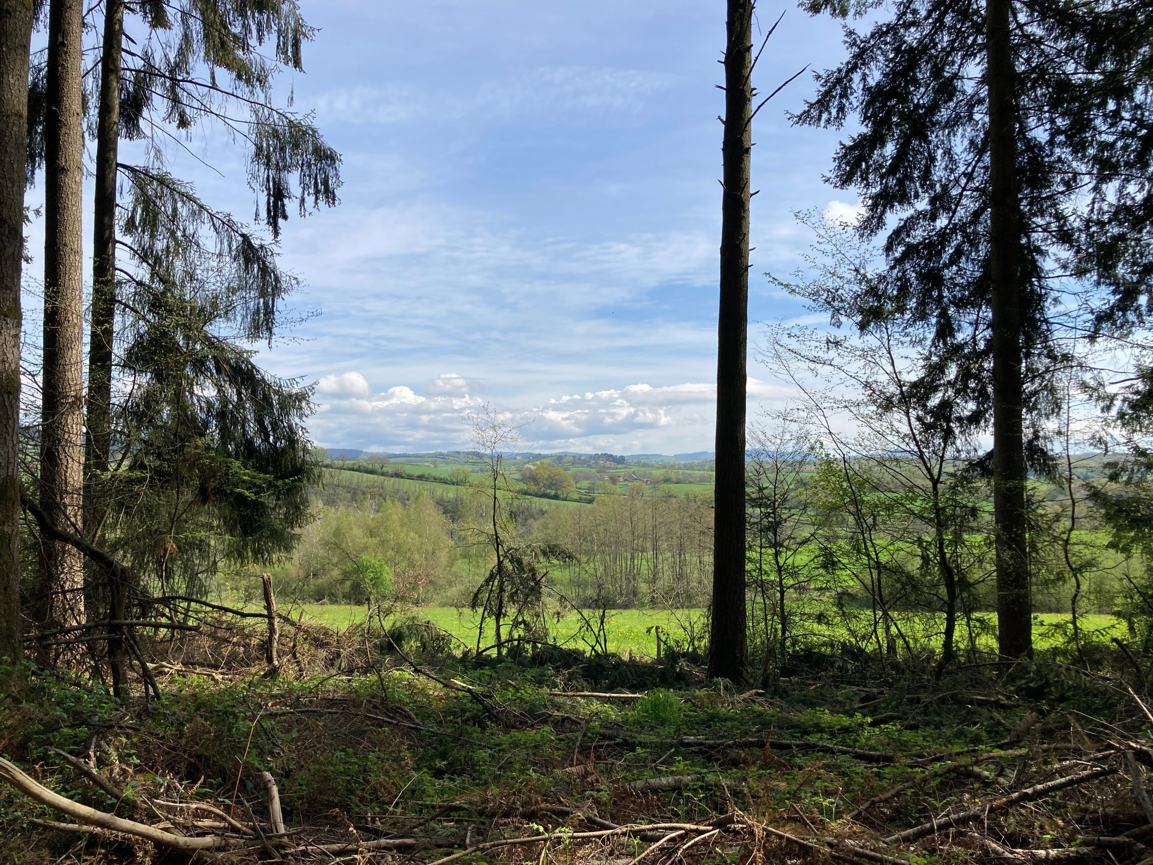 - image: 12