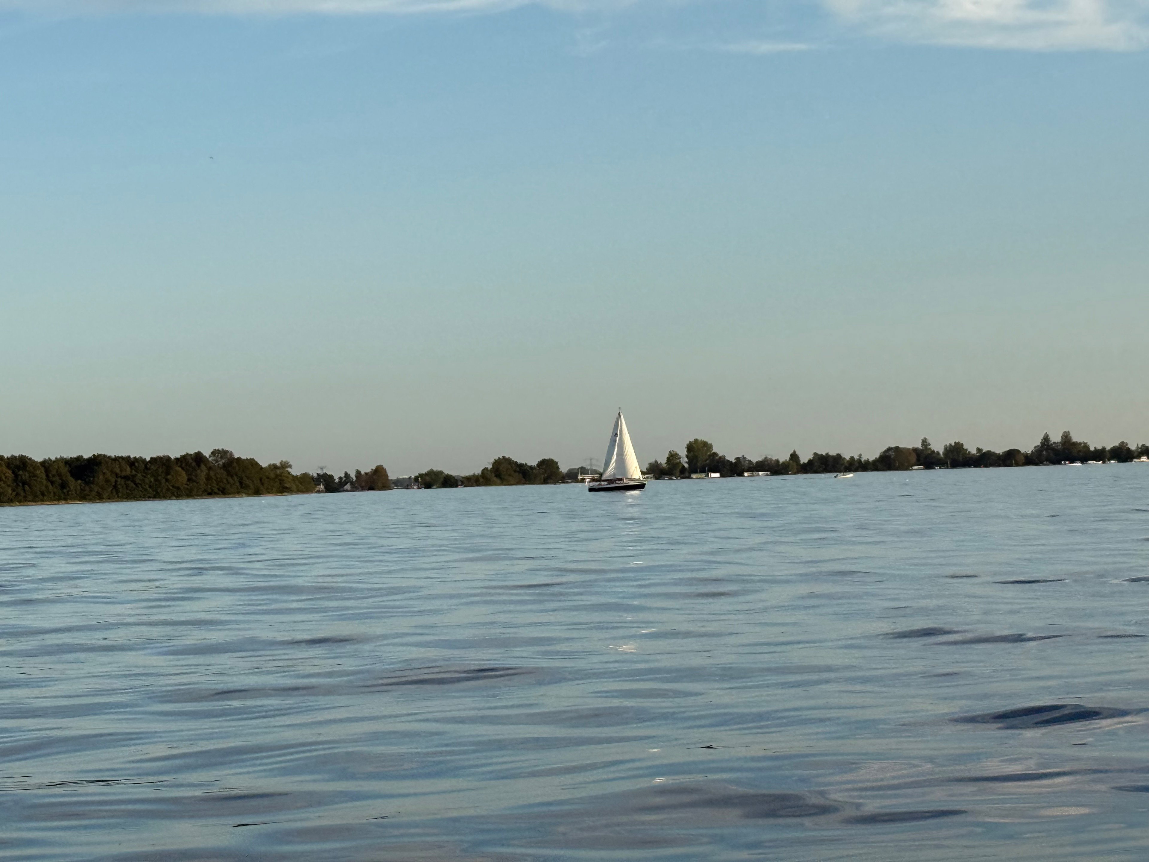 - image: 12