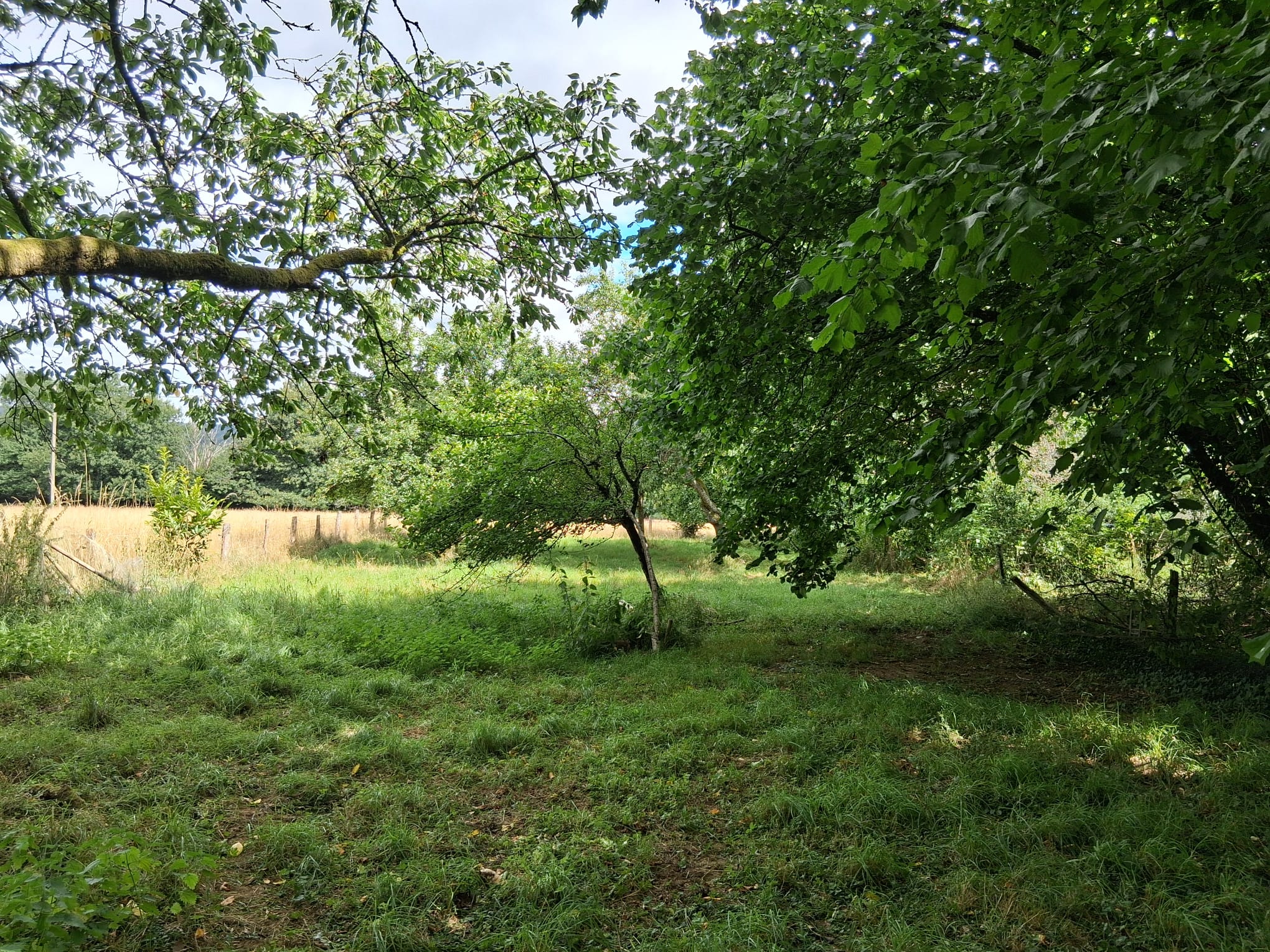 - image: 24