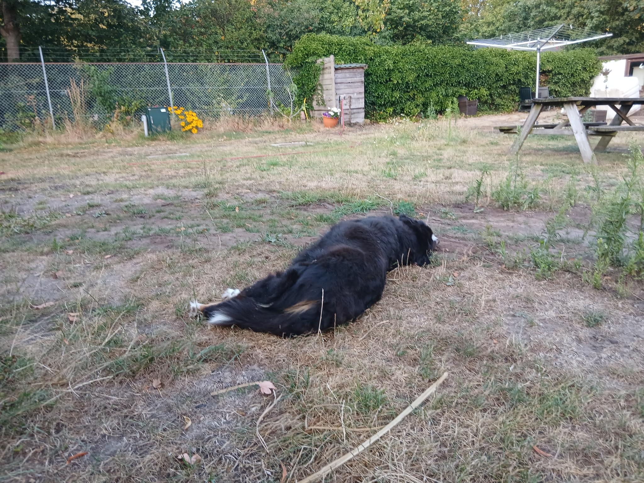 Naturhäuschen in Ede