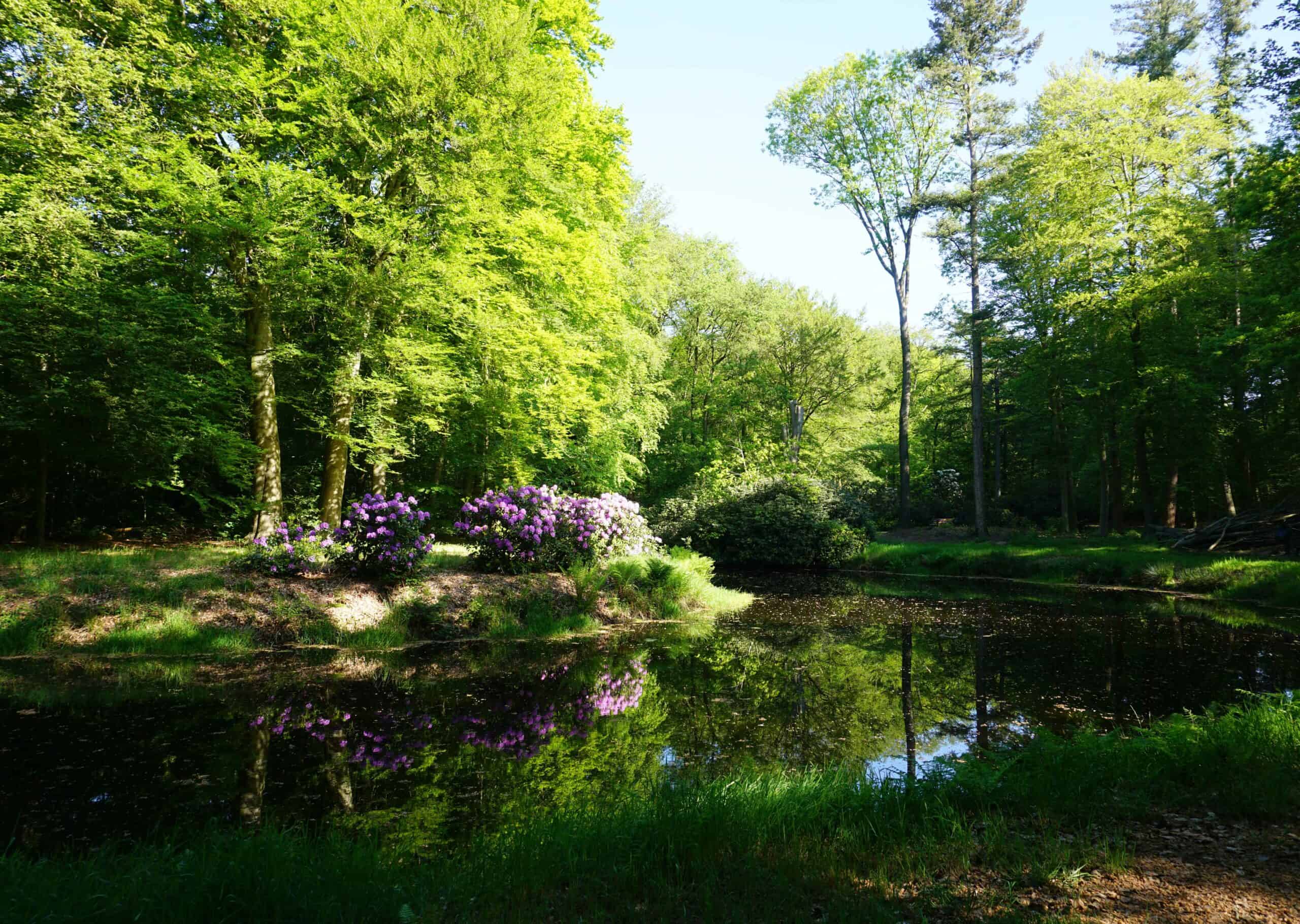 Nature house in Onstwedde