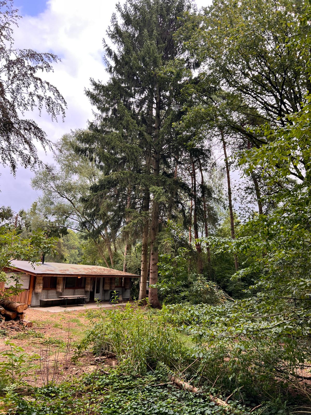 Casa nella natura a Halle-Zoersel