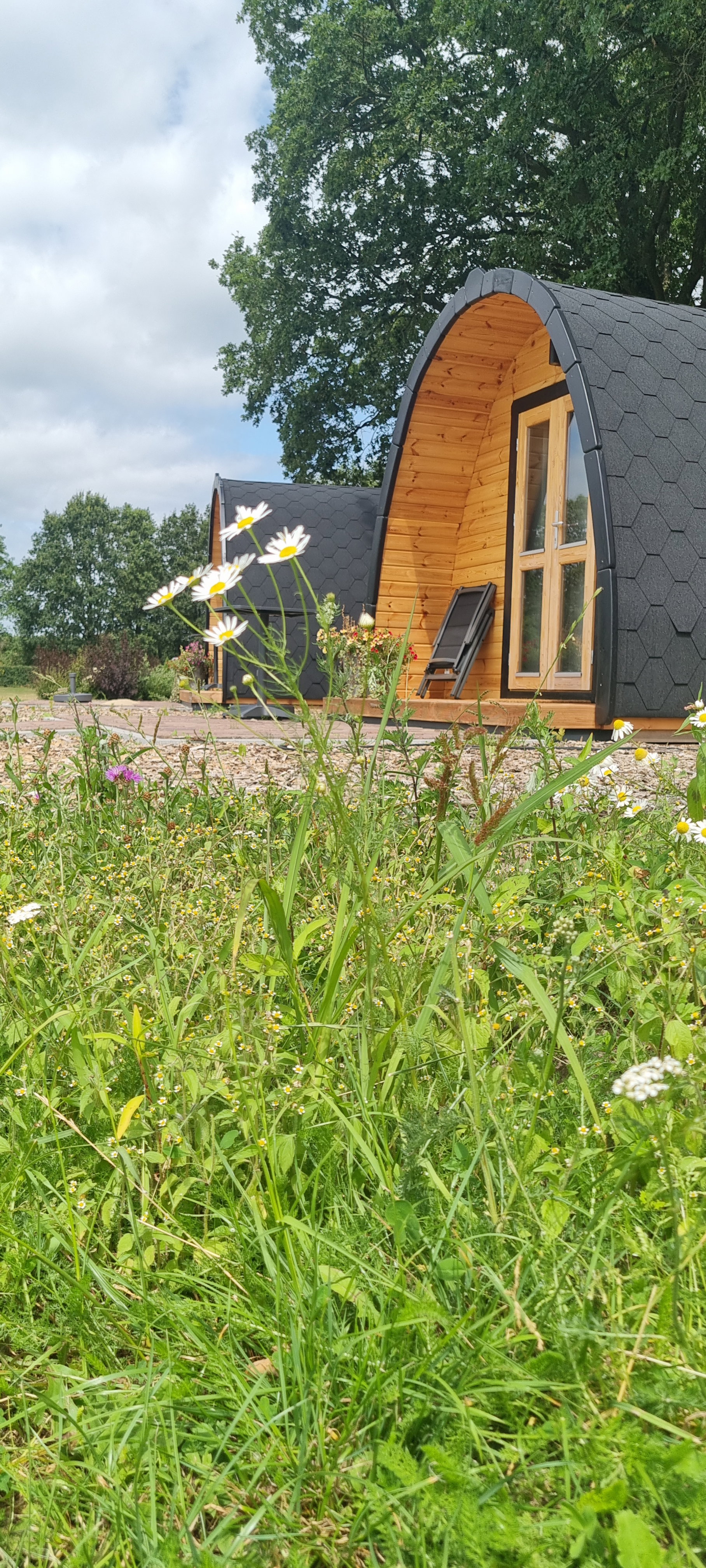 Natuurhuisje in Weerselo