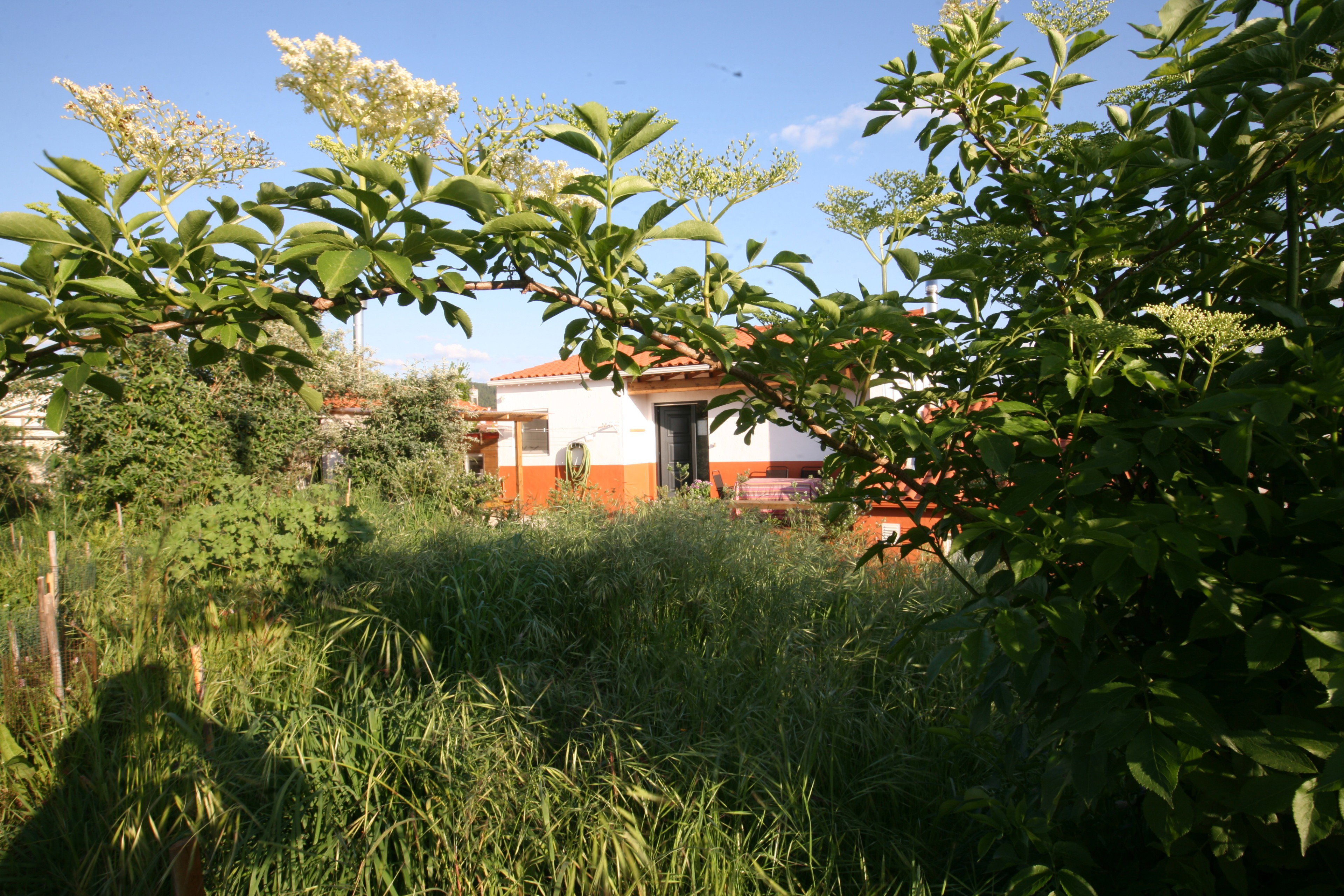 - image: 13