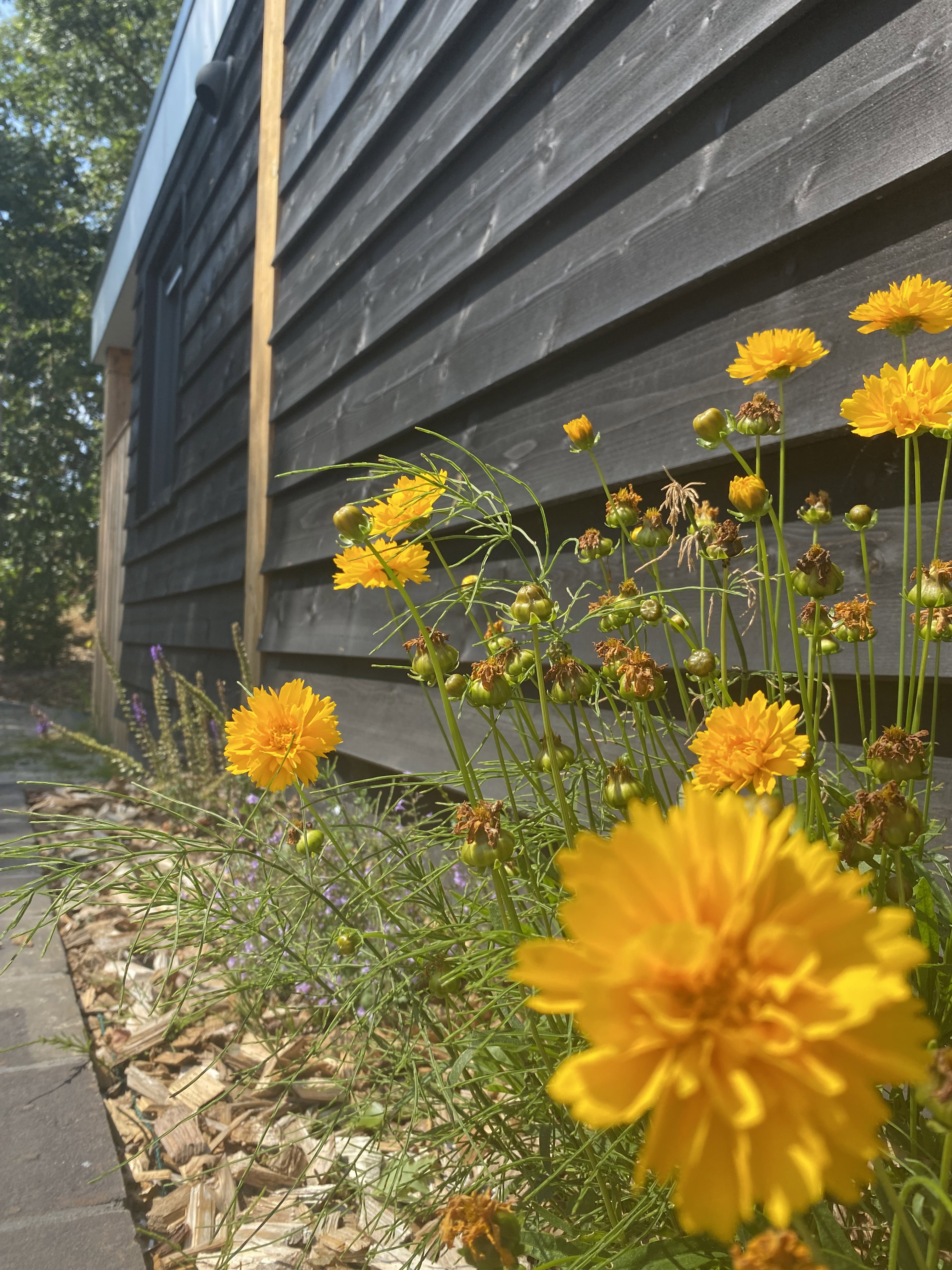 Nature house in Ommen