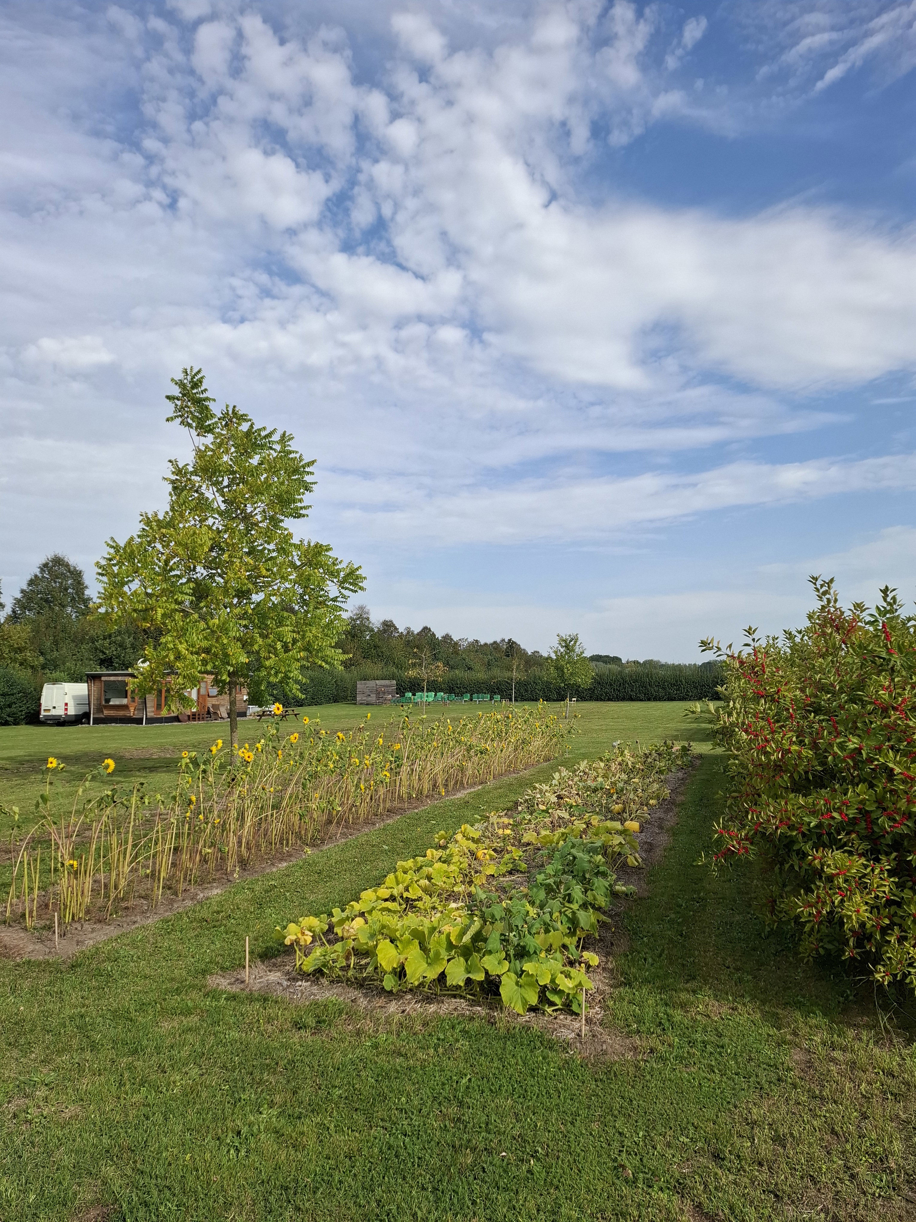 Natuurhuisje in Susteren