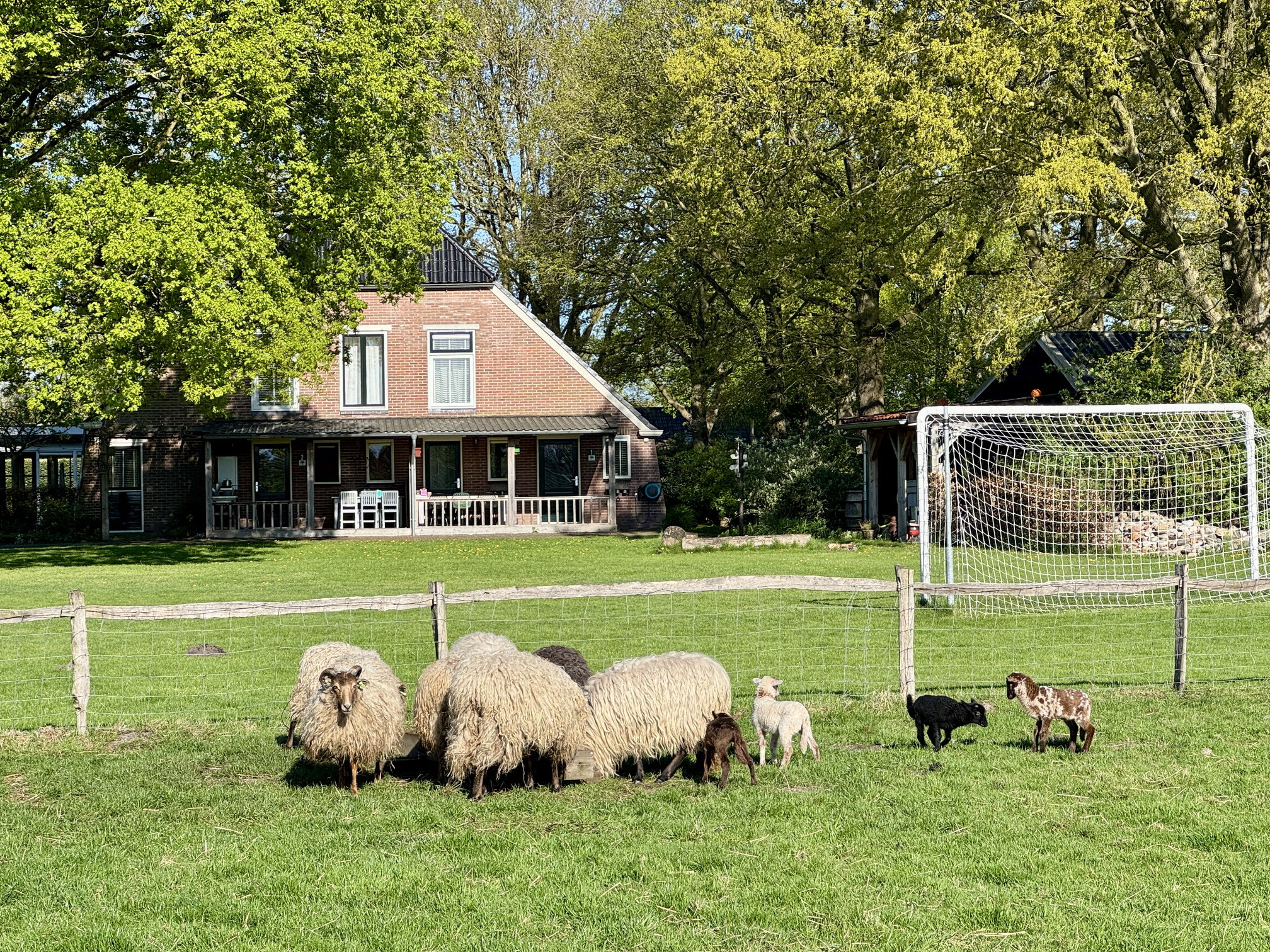 Casa nella natura a Elp