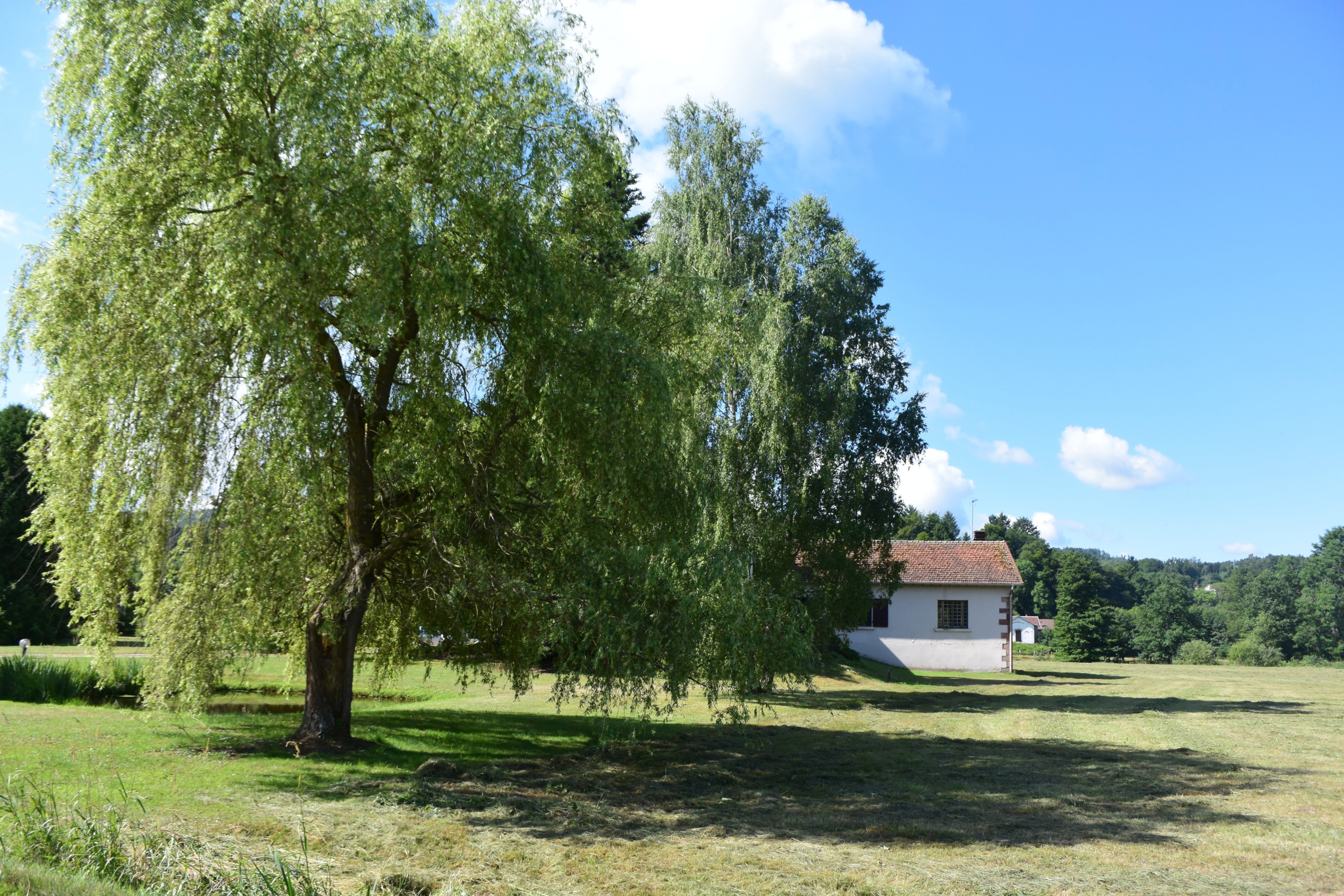 - image: 58