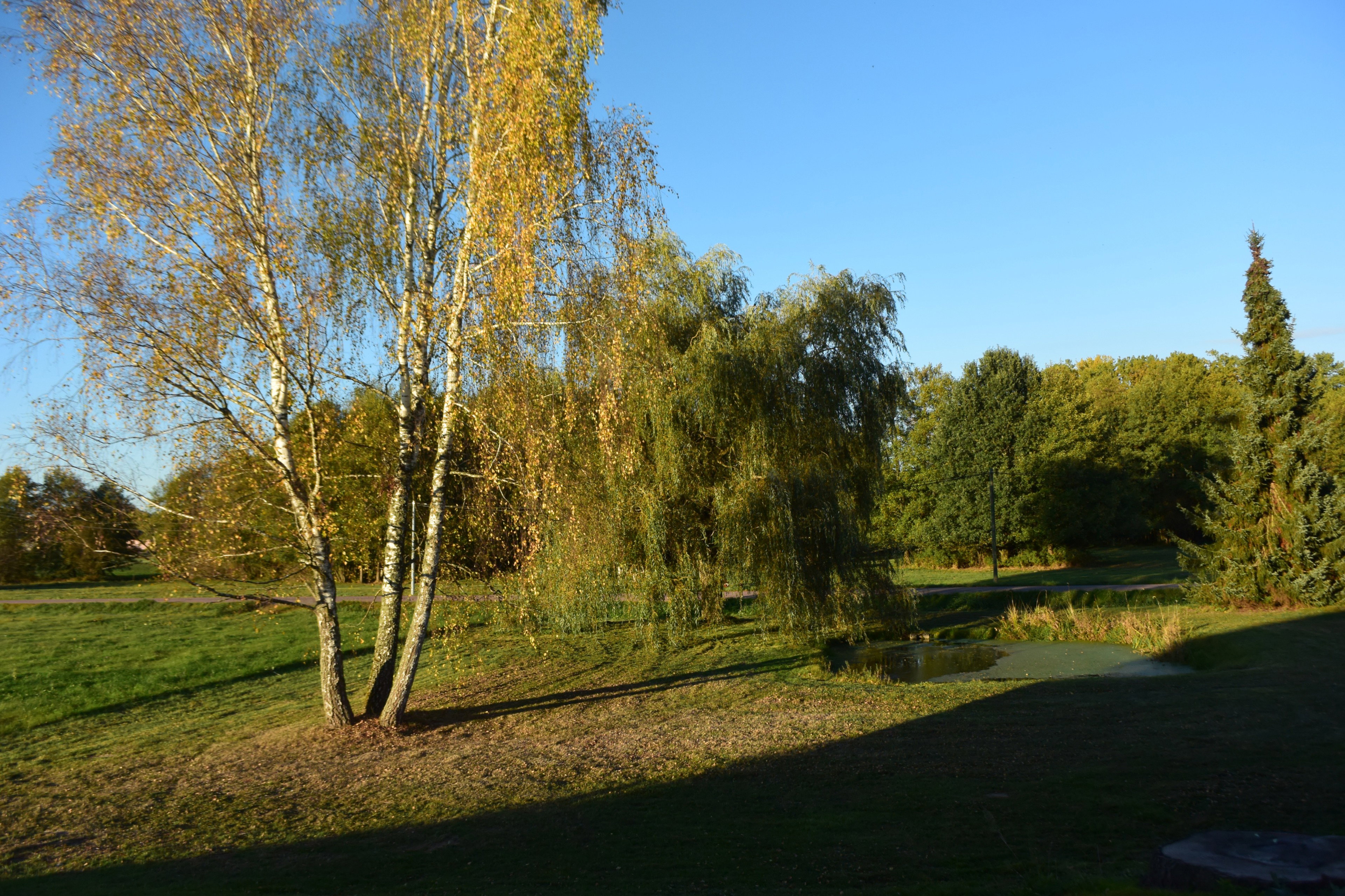 - image: 59